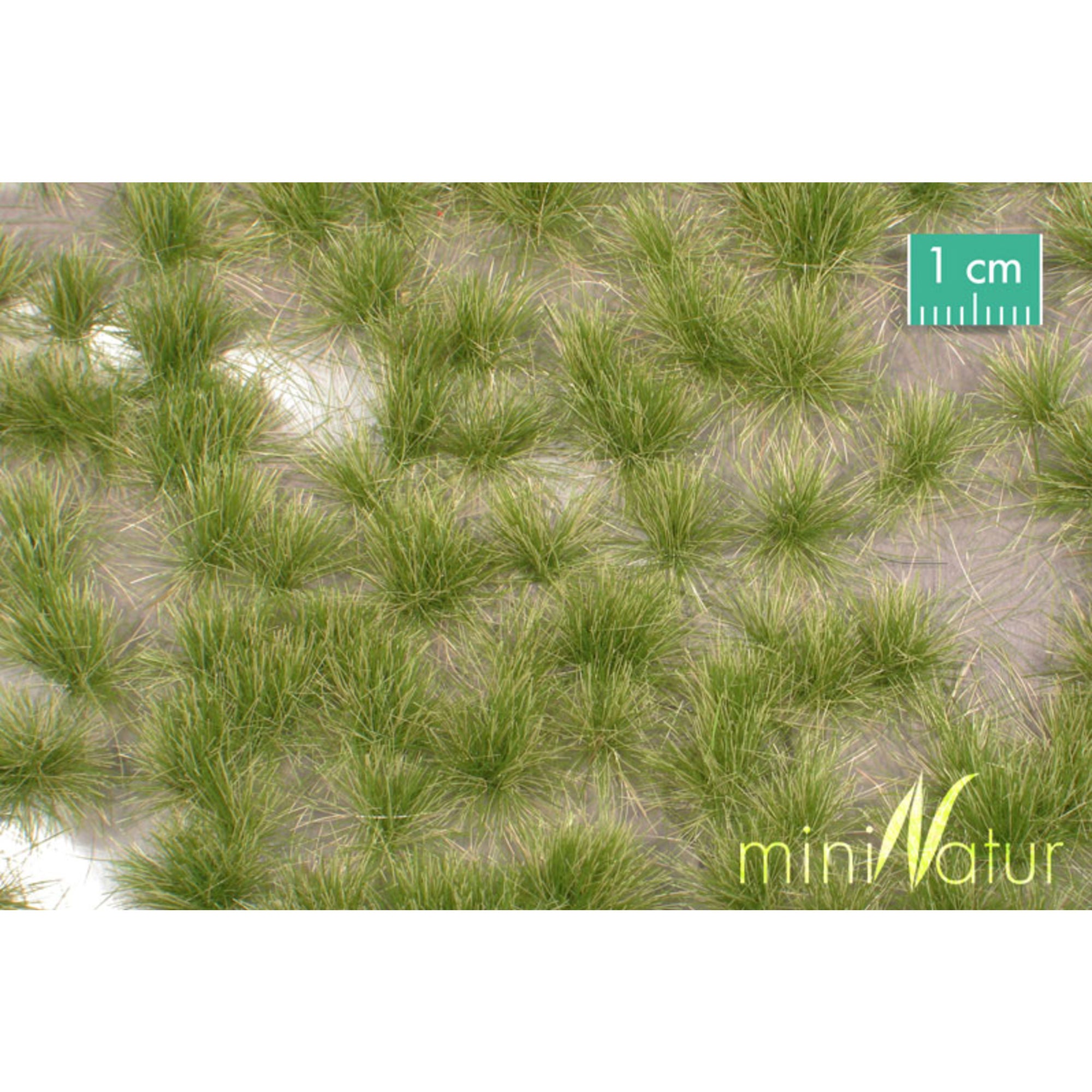 Grass Tufts, 1:45+