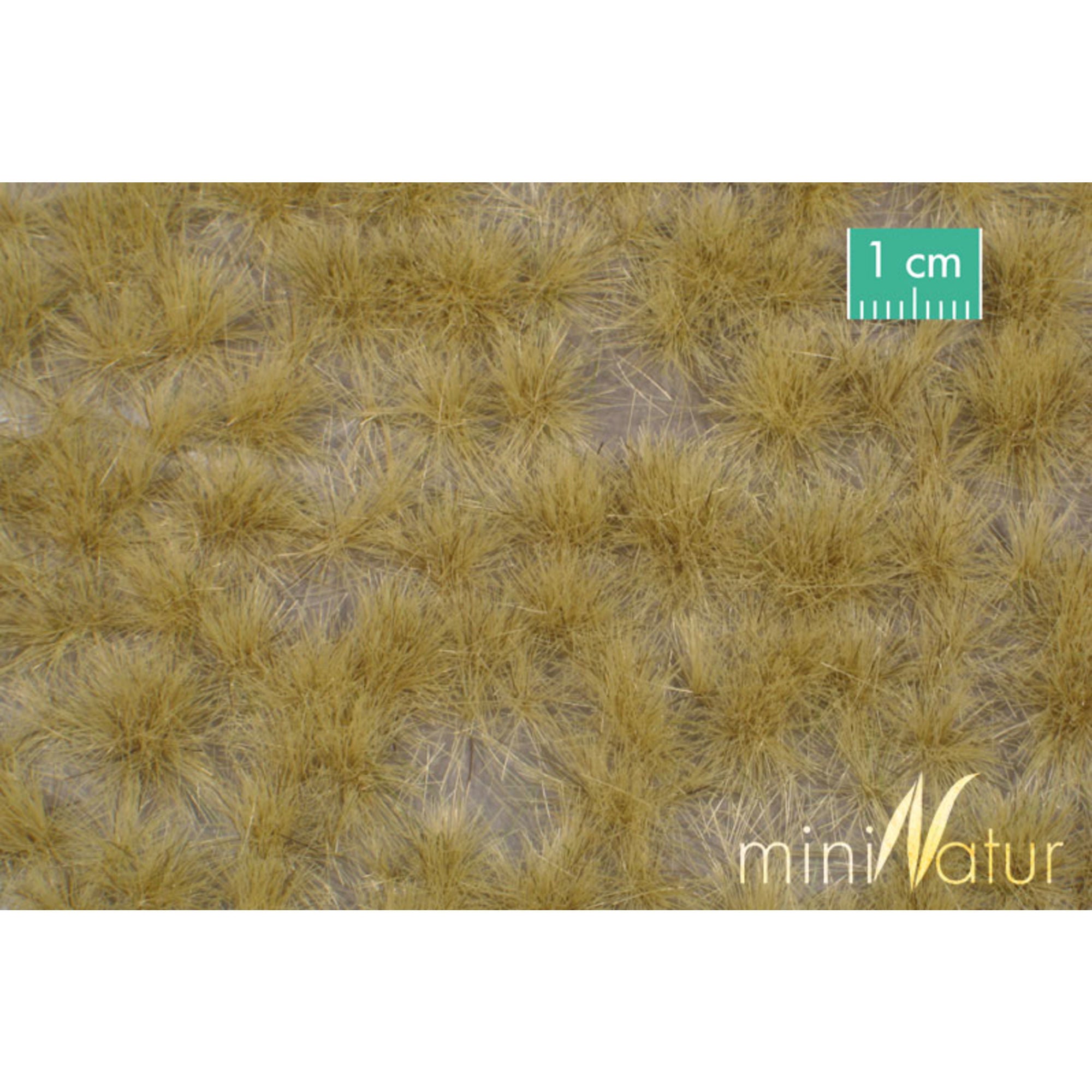 Grass Tufts, Long, Late Fall