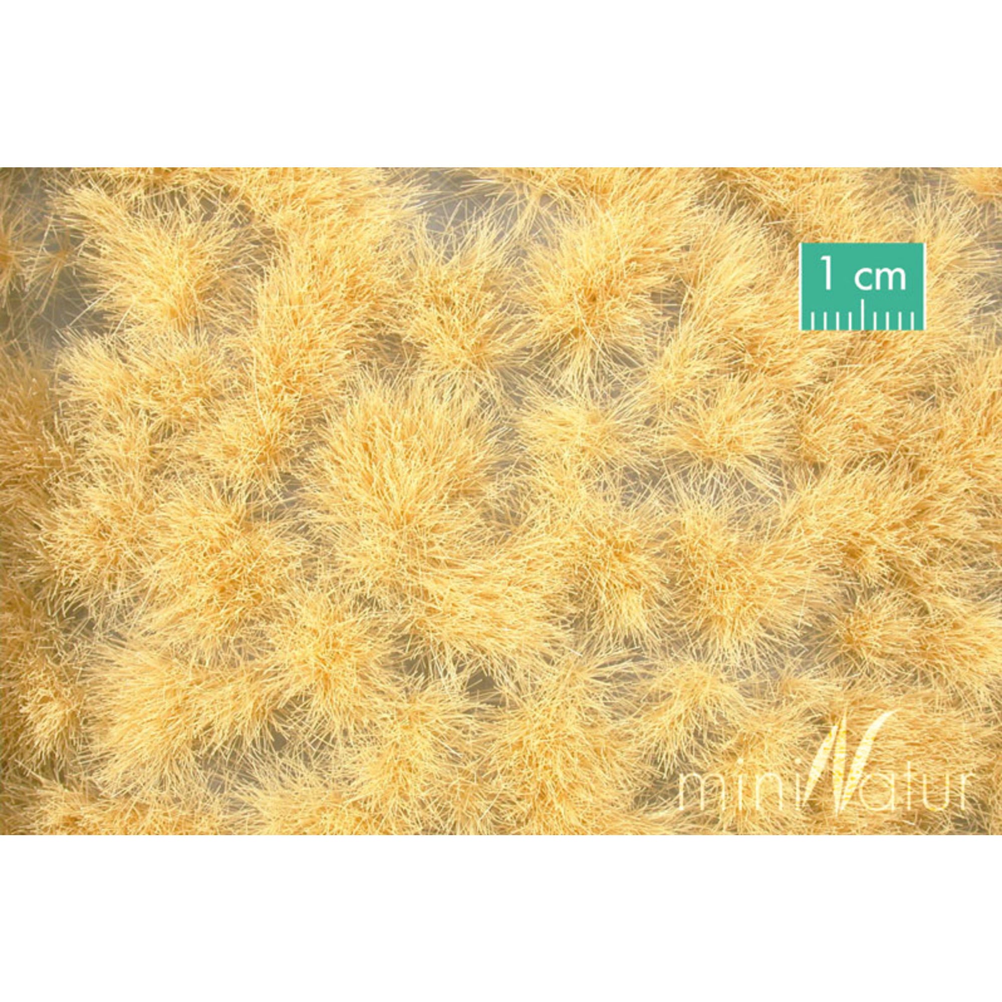 Grass Tufts, Long, Gold Biege