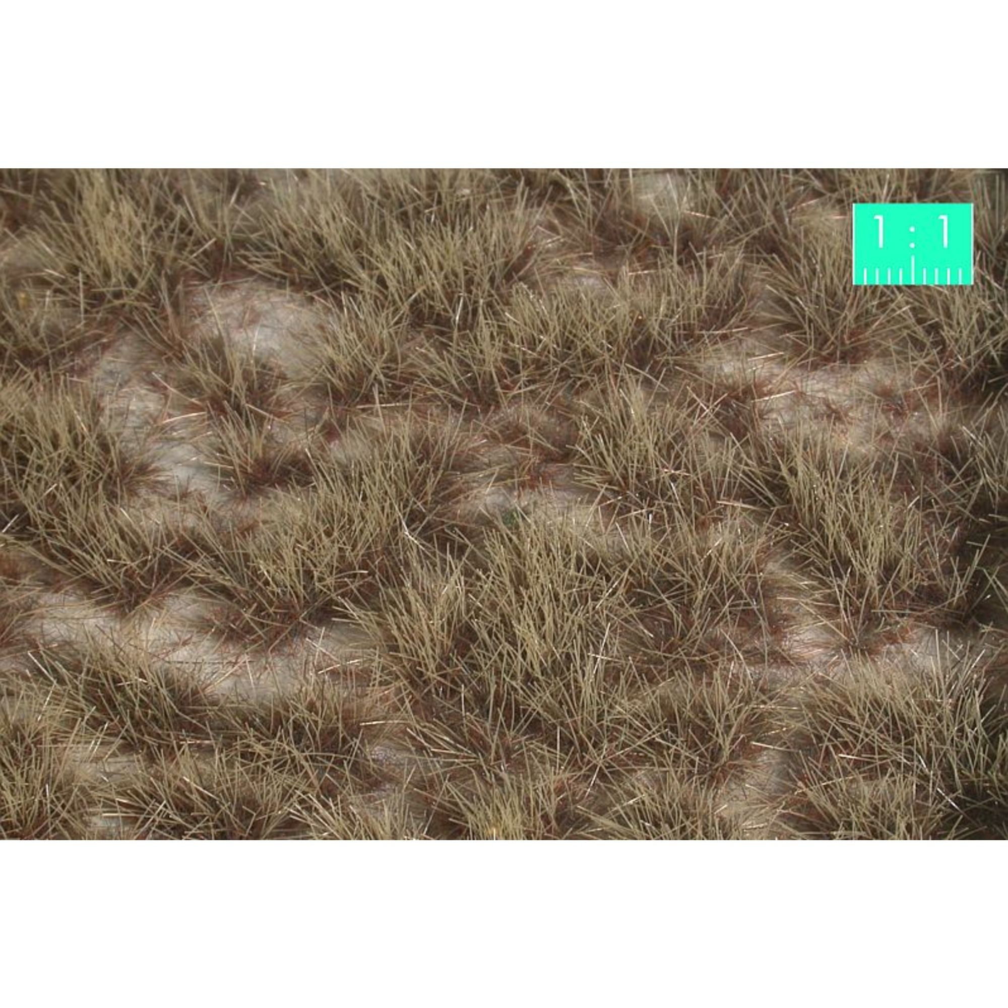 Desert Tufts