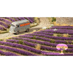 MIN79232S-2 [file:MIN79232S-2.jpg] Lavender Field Strips, Summer