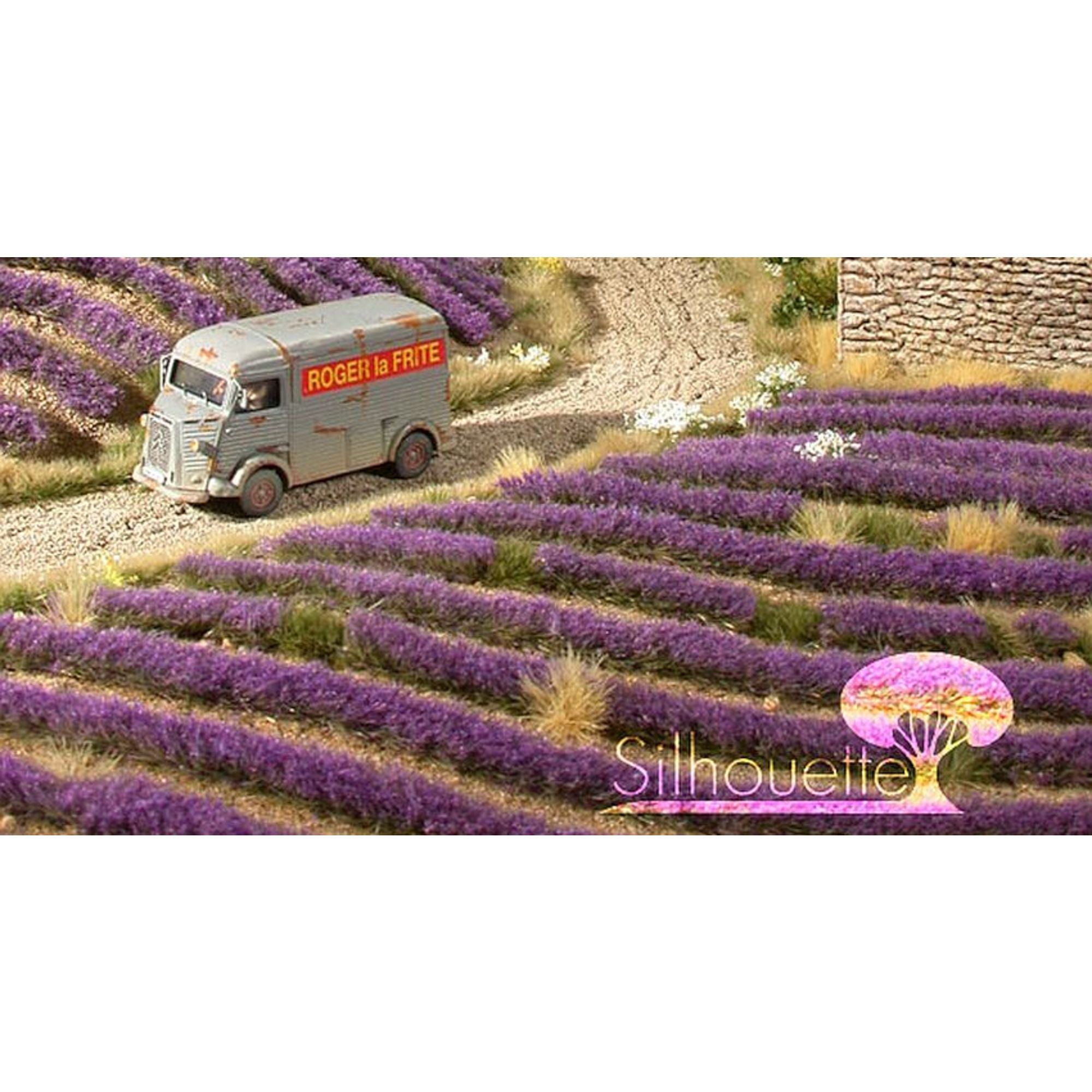 Lavender Field Strips, Summer