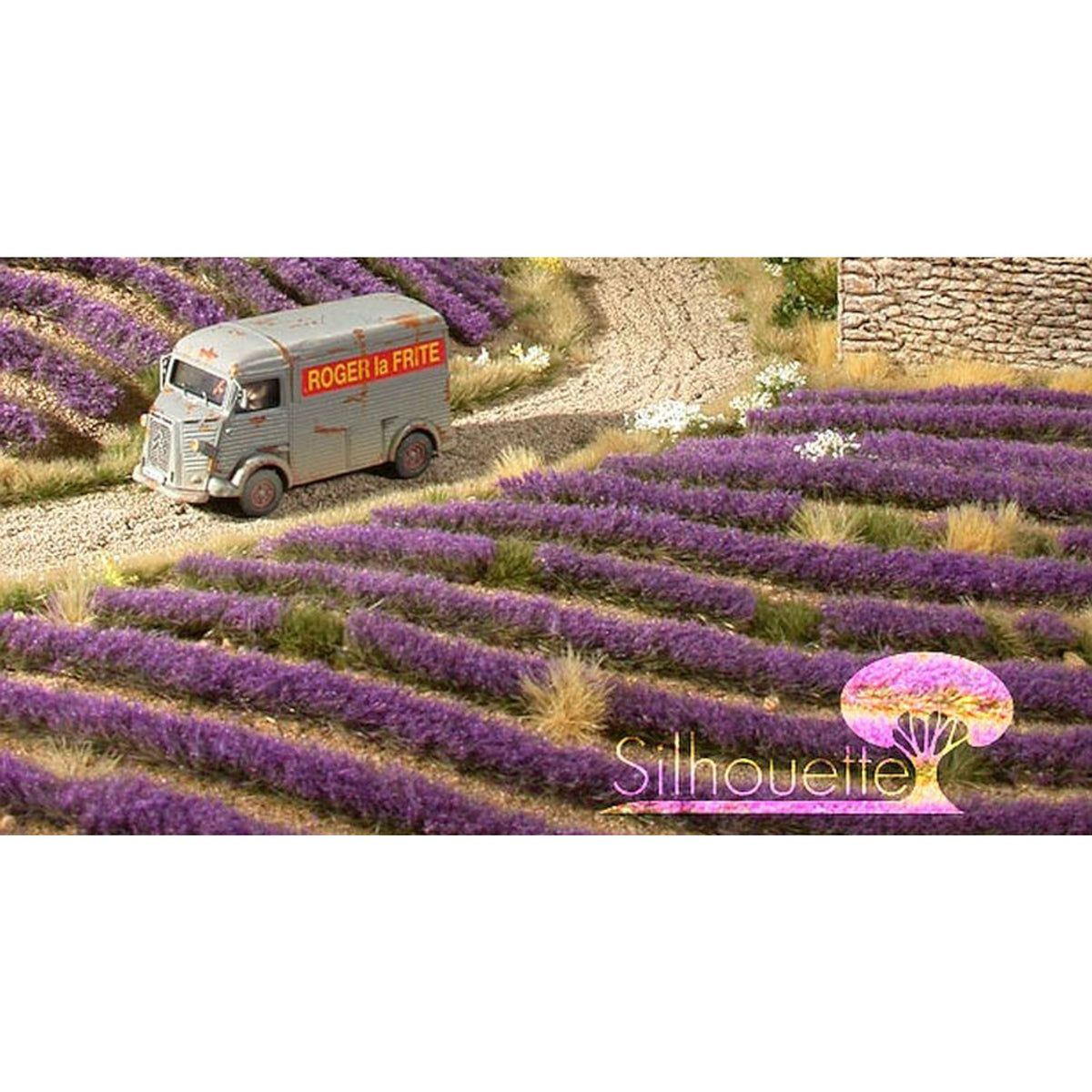 Lavender Field Strips, Summer