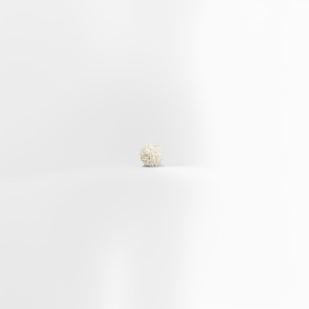 Sponge Rubber Ball