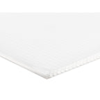 MOD0114914-1 [file:MOD0114914-1.jpg] Polypropylene Multi-Wall Sheet