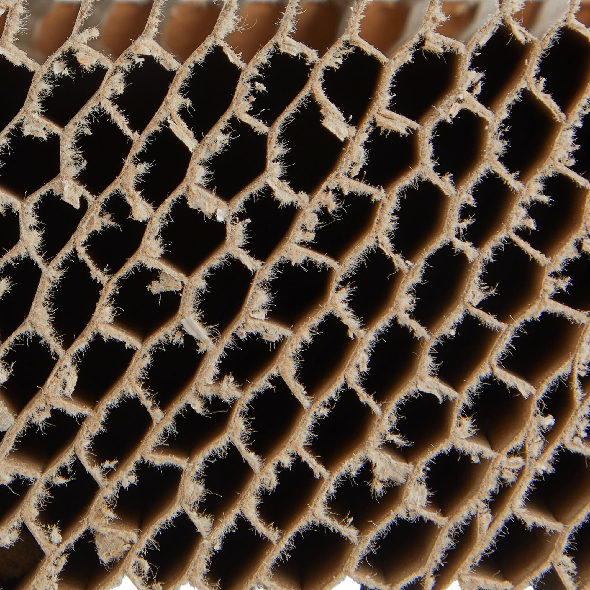 MOD0183215-5 [file:MOD0183215-5.jpg] Honeycomb Board