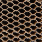 MOD3017730-ST-4 [file:MOD3017730-ST-4.jpg] Honeycomb board paper laminated, brown , 20.0 x 750 x 1000 mm, laminating paper 200 g/m2