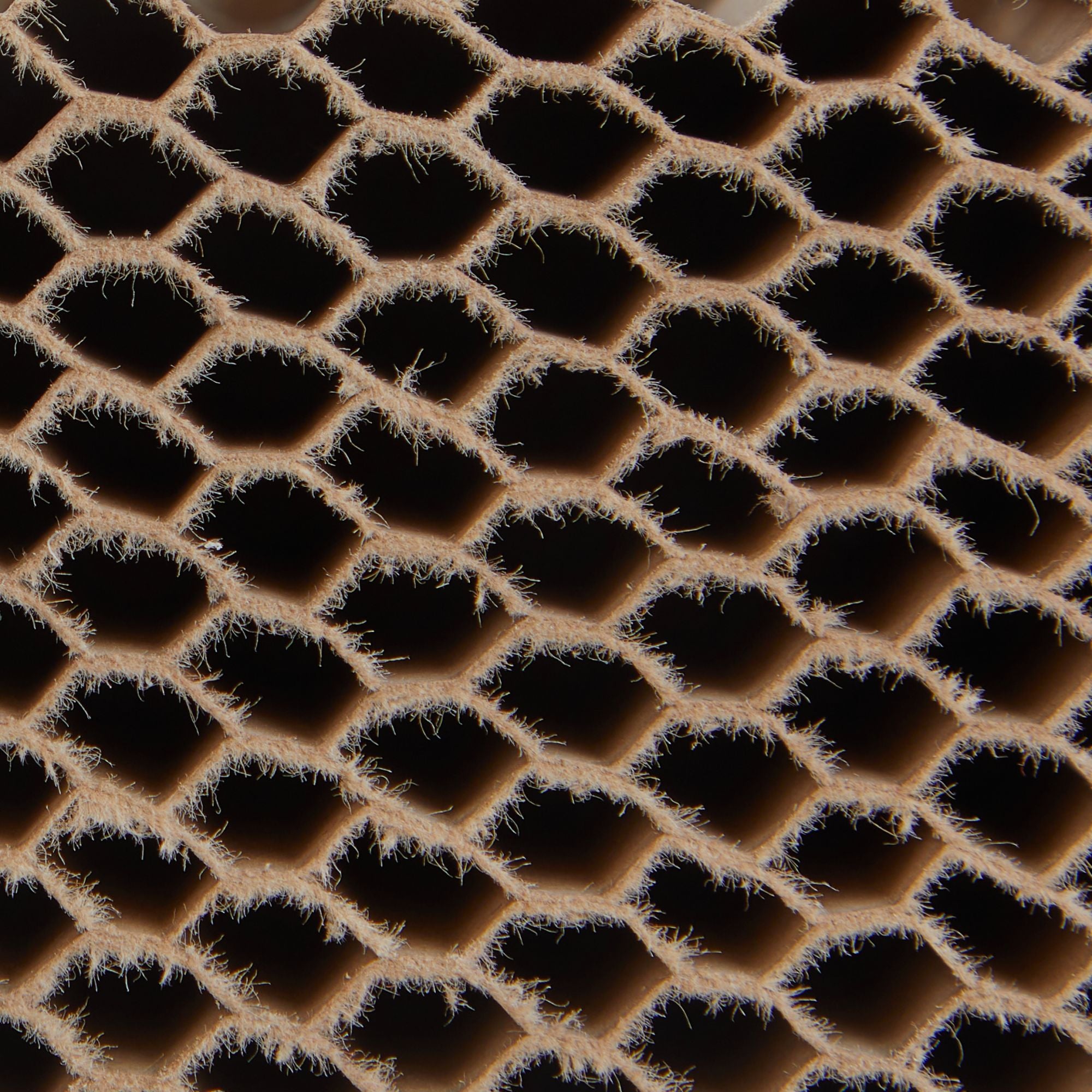 Honeycomb board paper laminated, brown , 20.0 x 750 x 1000 mm, laminating paper 200 g/m2