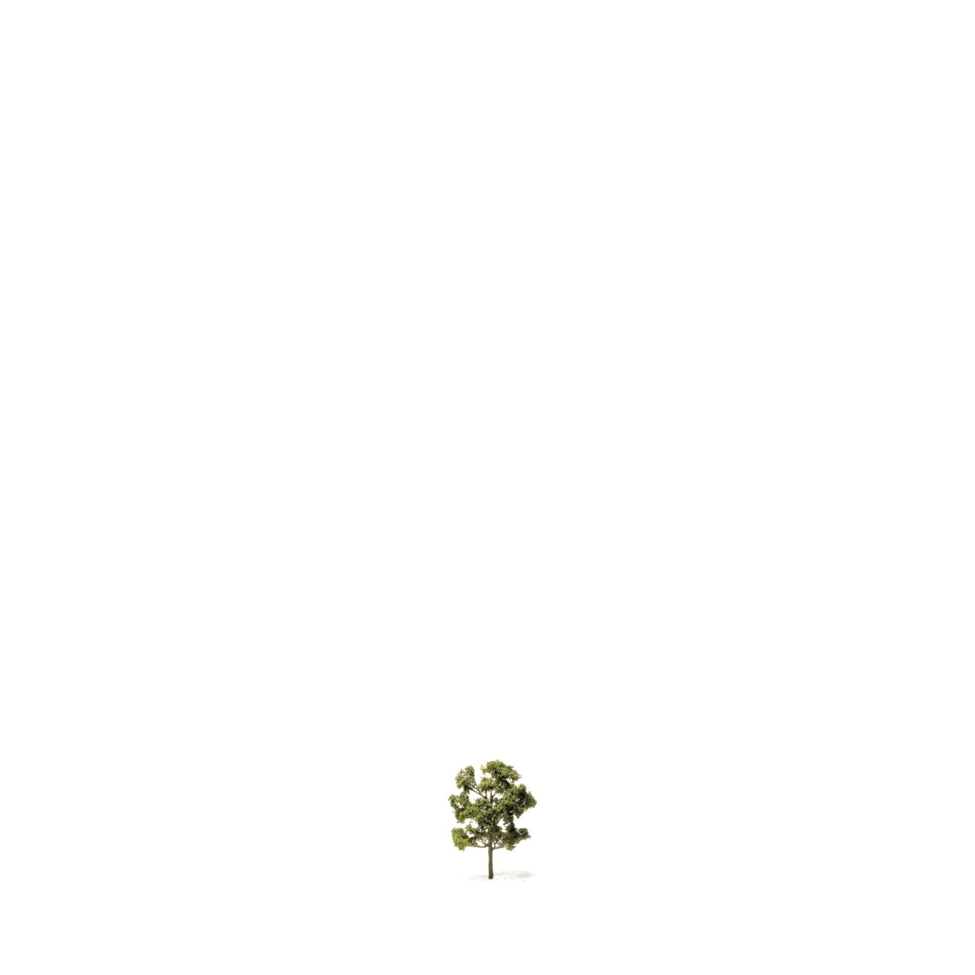 Etched Brass Deciduous Trees