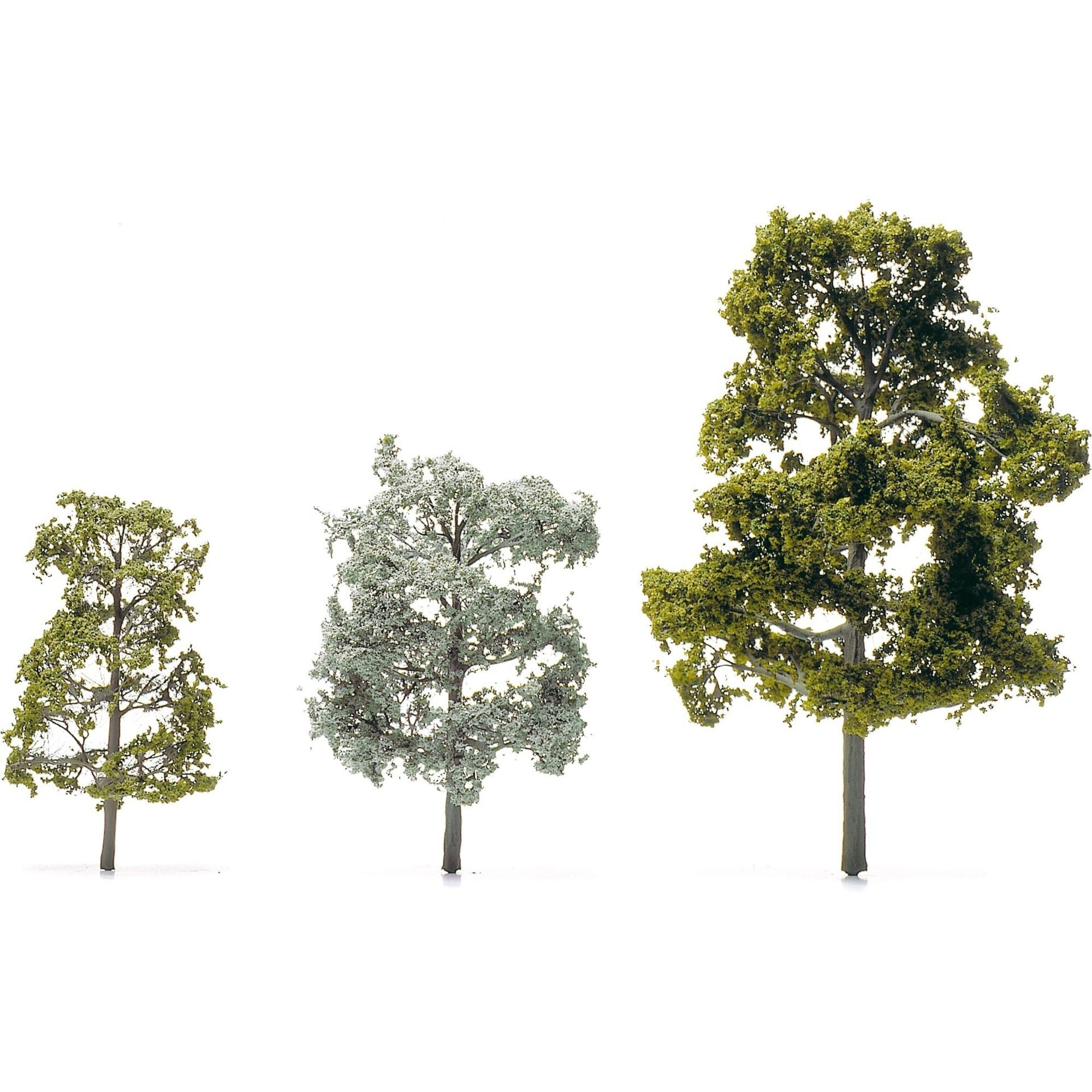 Etched Brass Deciduous Trees