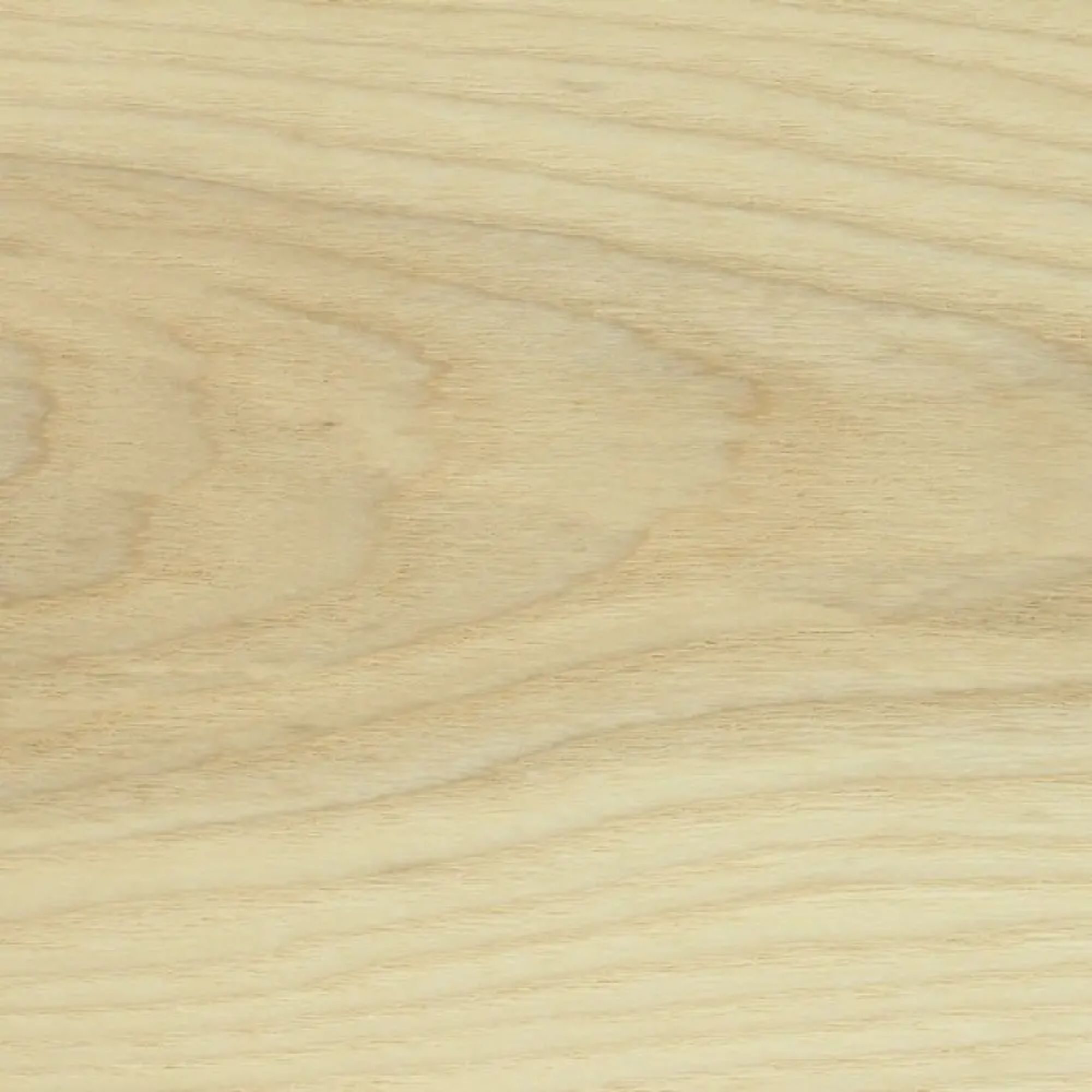 Ash Sheet