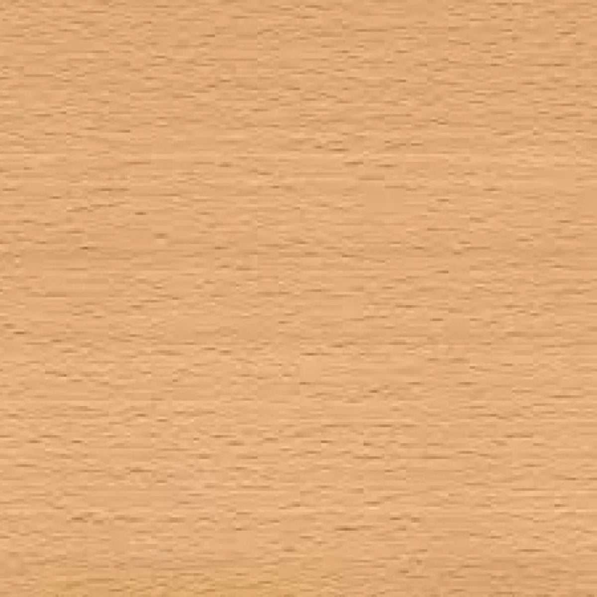 Beech Sheet