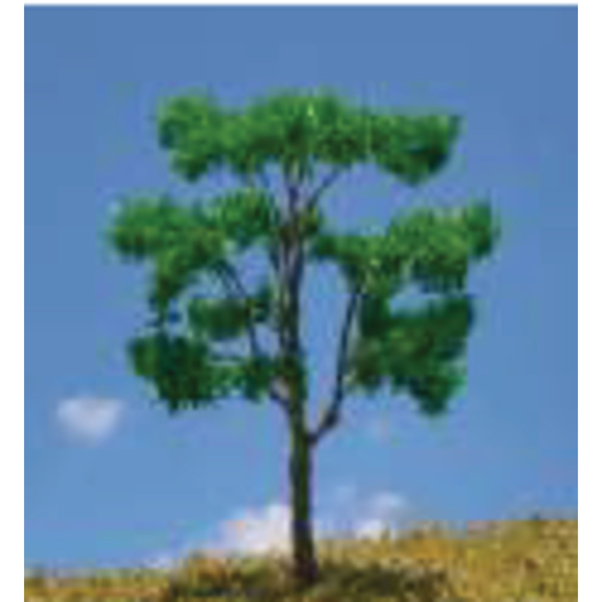 SCZ71-24100-1-1 Tree, Metal Wire