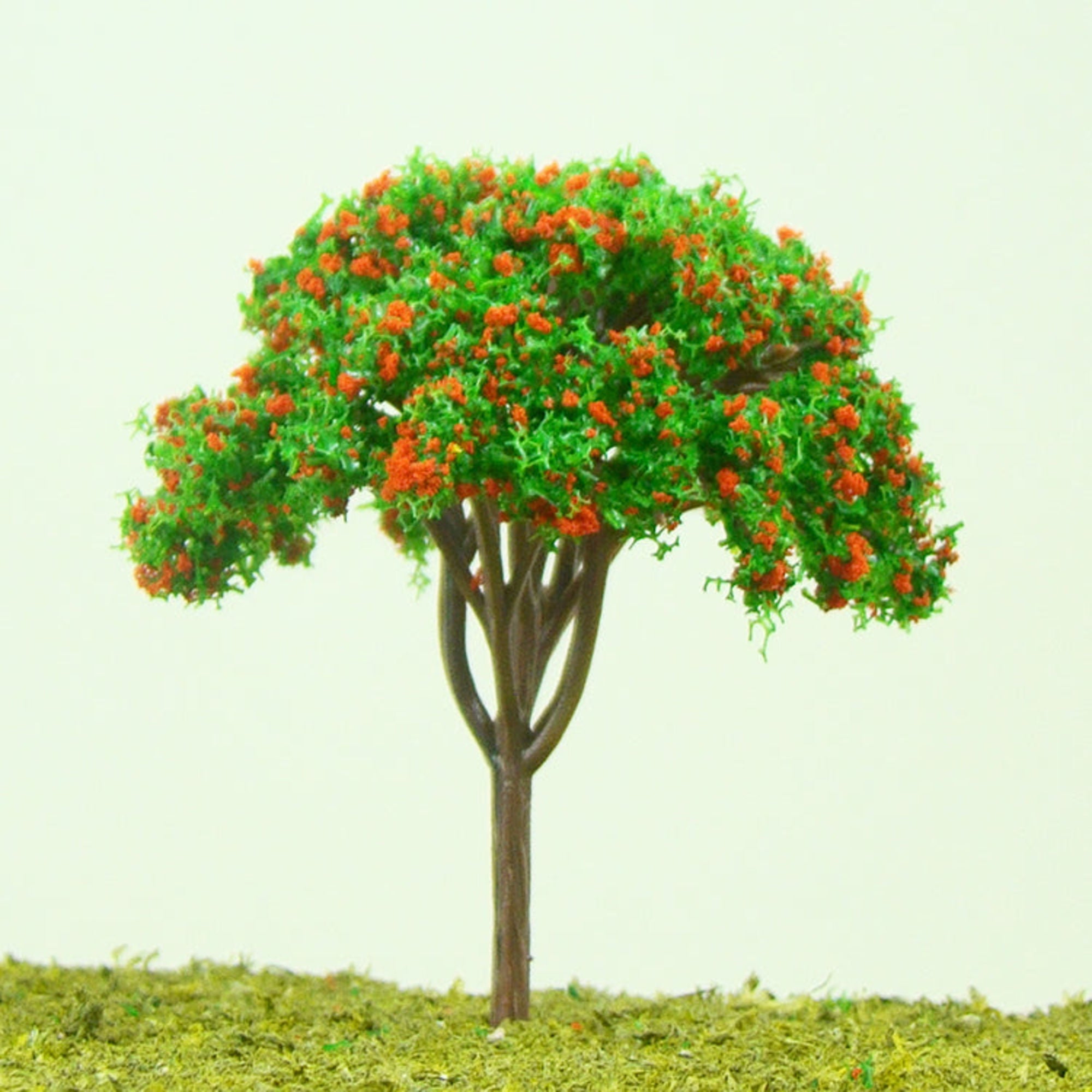 SCZ71-31650-3-1 Apple Trees