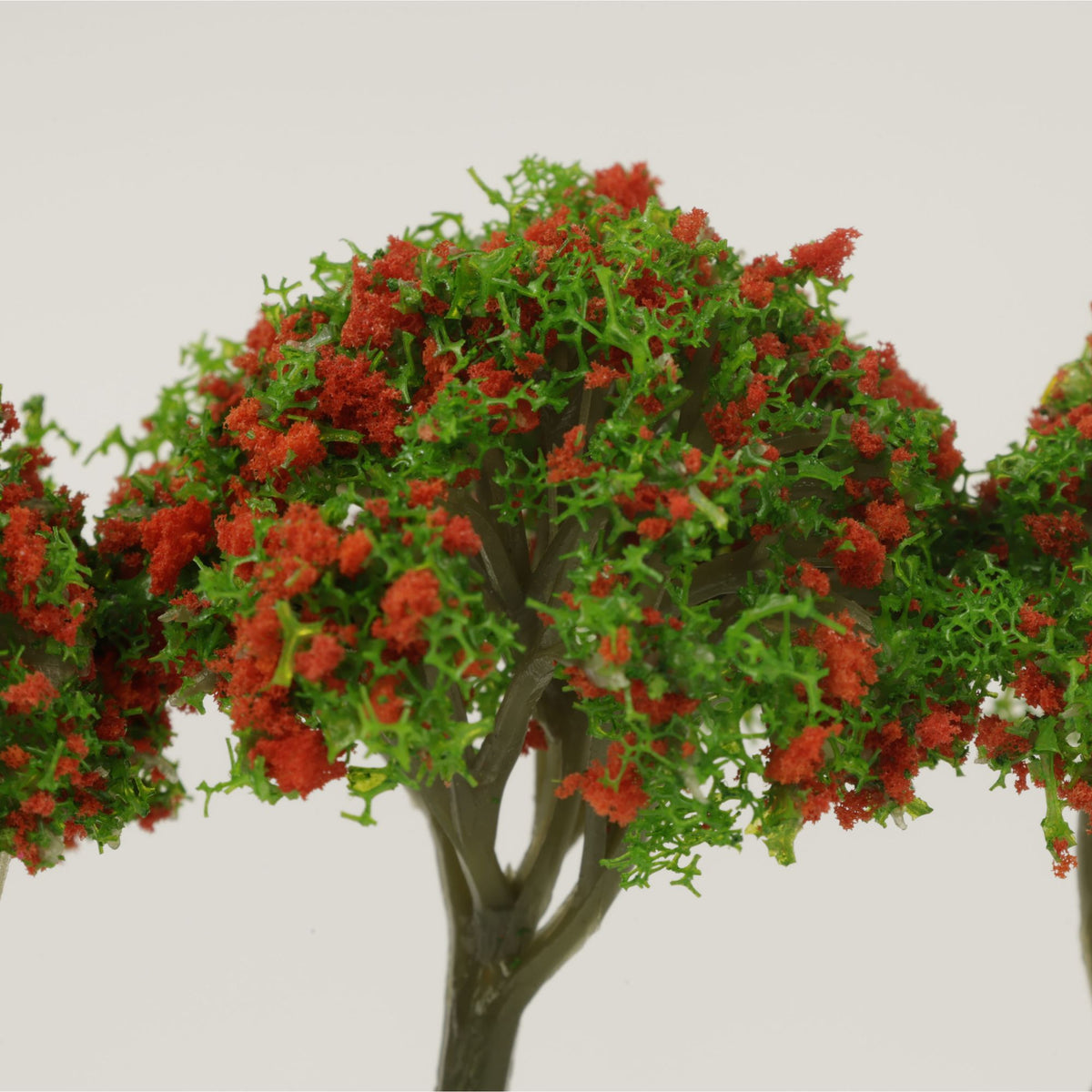 Apple Trees