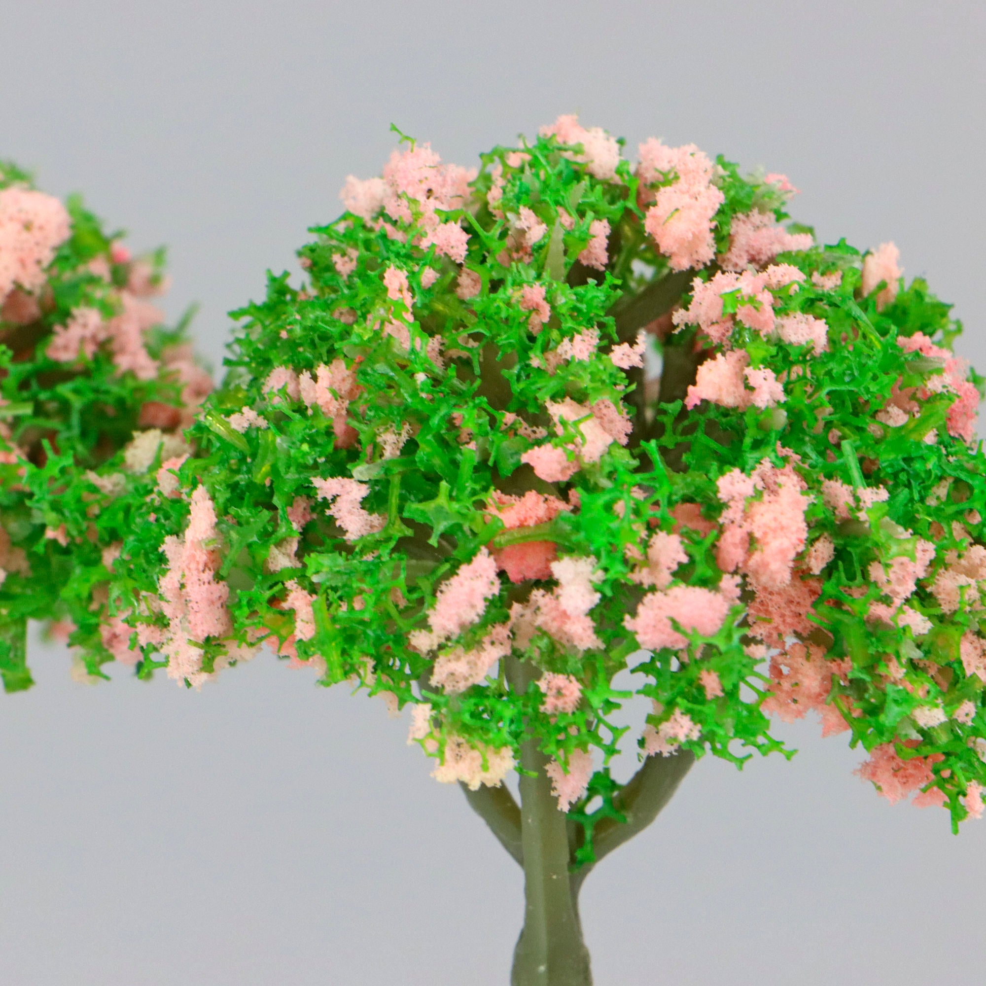 SCZ71-31750-3-2 [file:SCZ71-31750-3-2.jpg] Cherry Trees