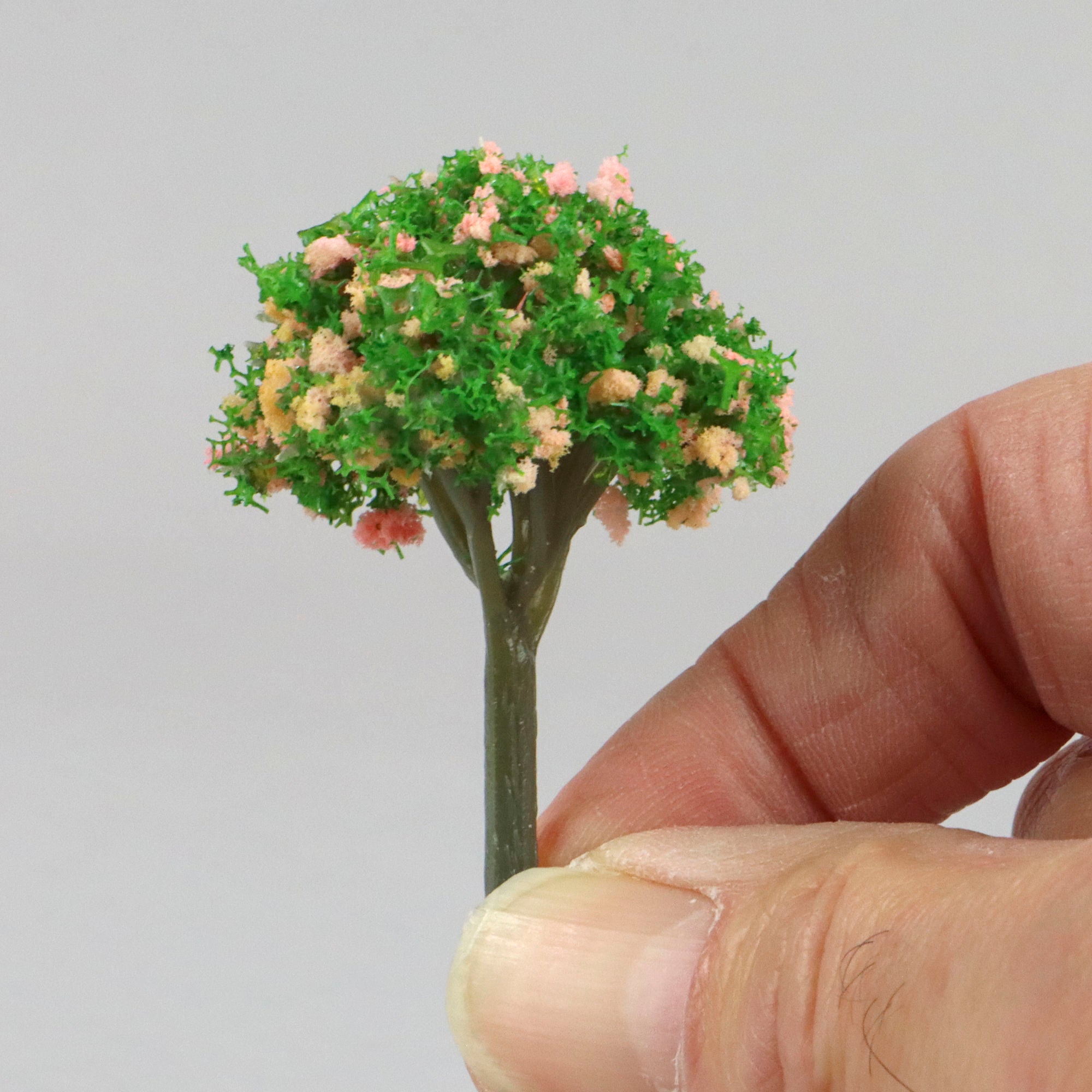 SCZ71-31750-3-3 [file:SCZ71-31750-3-3.jpg] Cherry Trees