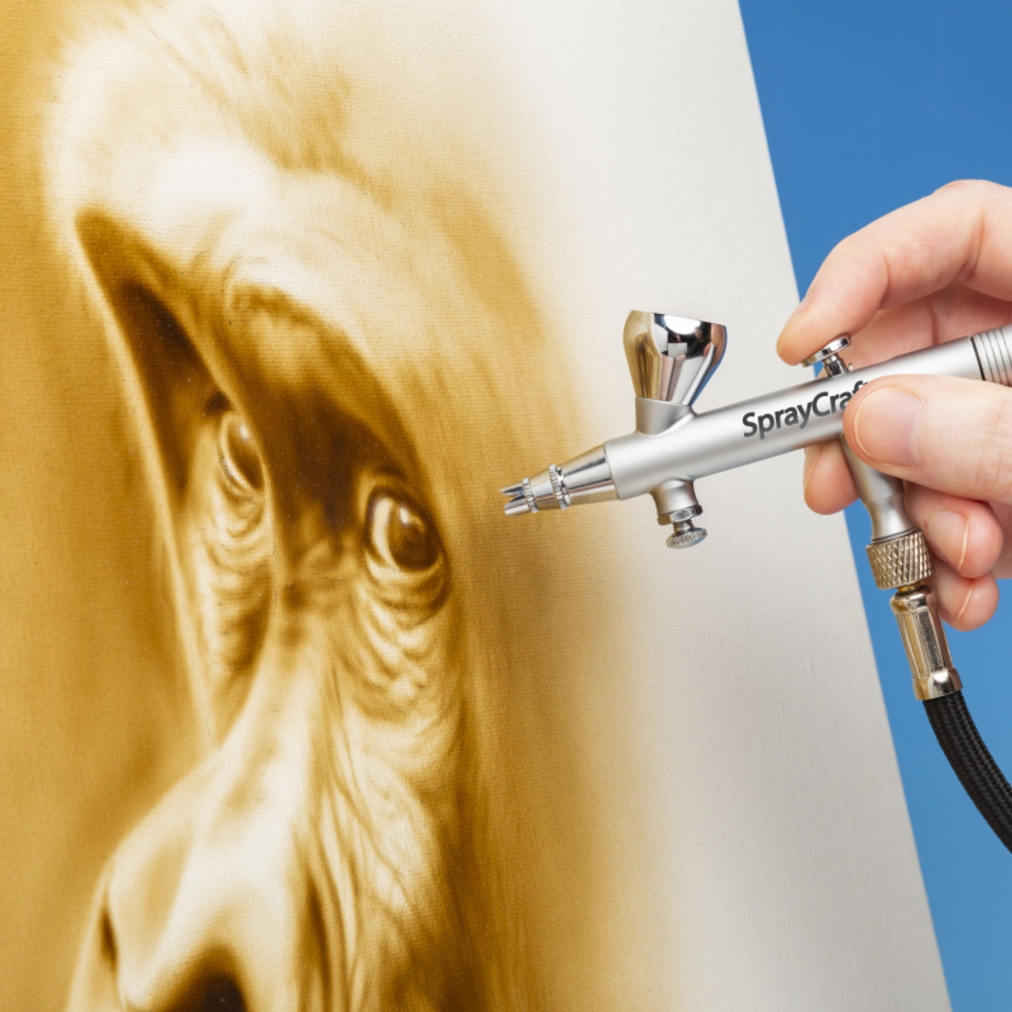 Pro Airbrush Kit