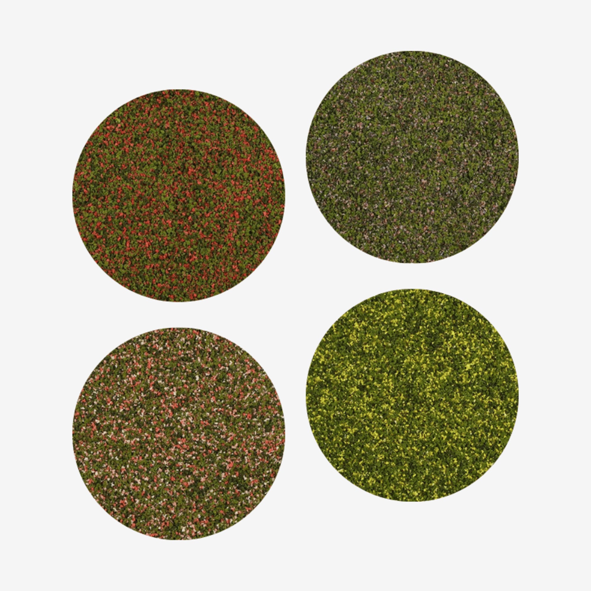 4D Texture Blossom Colours 100cc - Red Blossom
