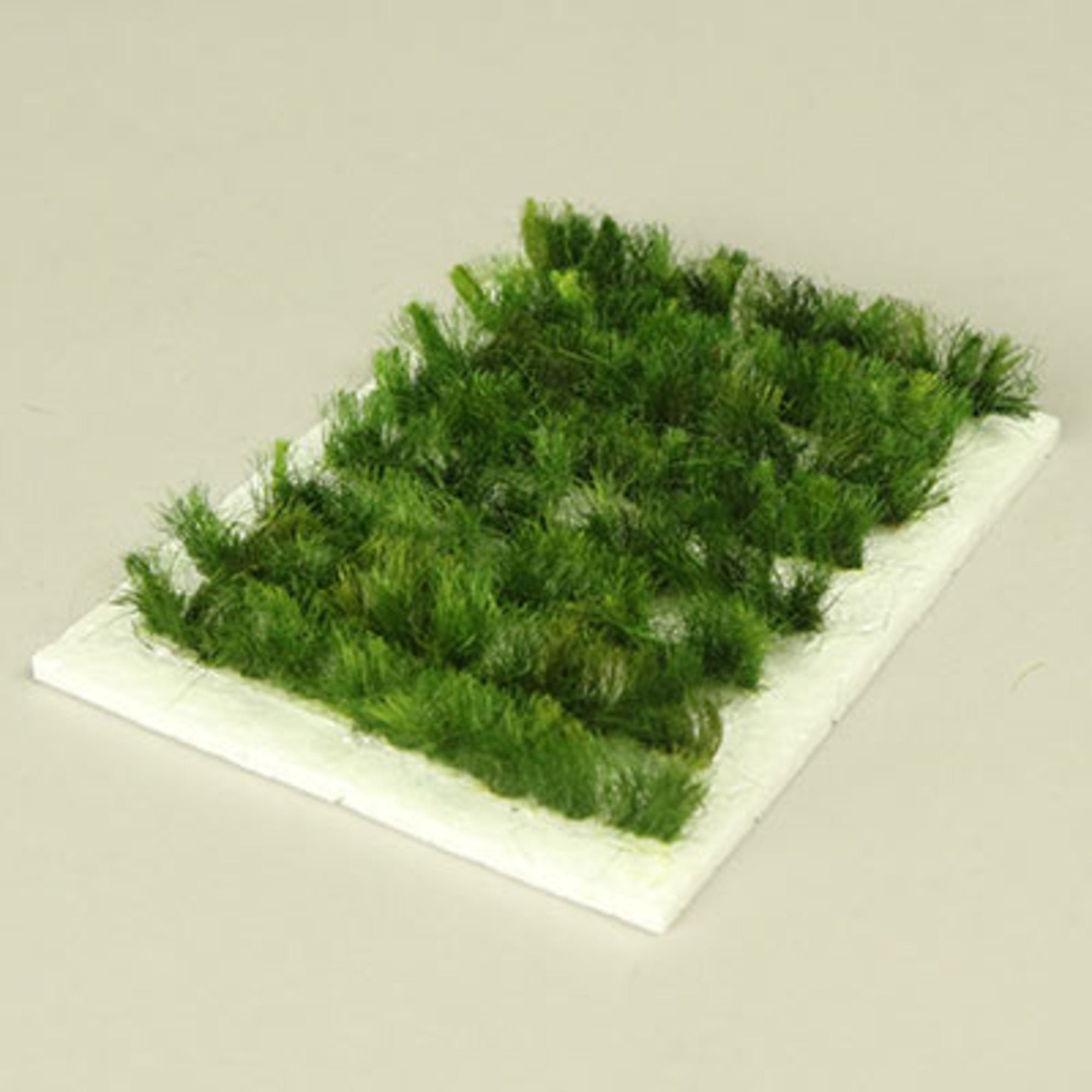 Pathway '10mm' (8 pcs) moss green
