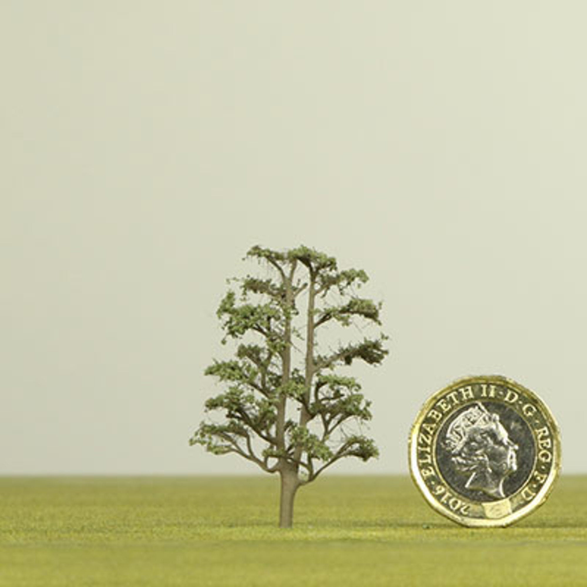 Lime model tree - 50mm