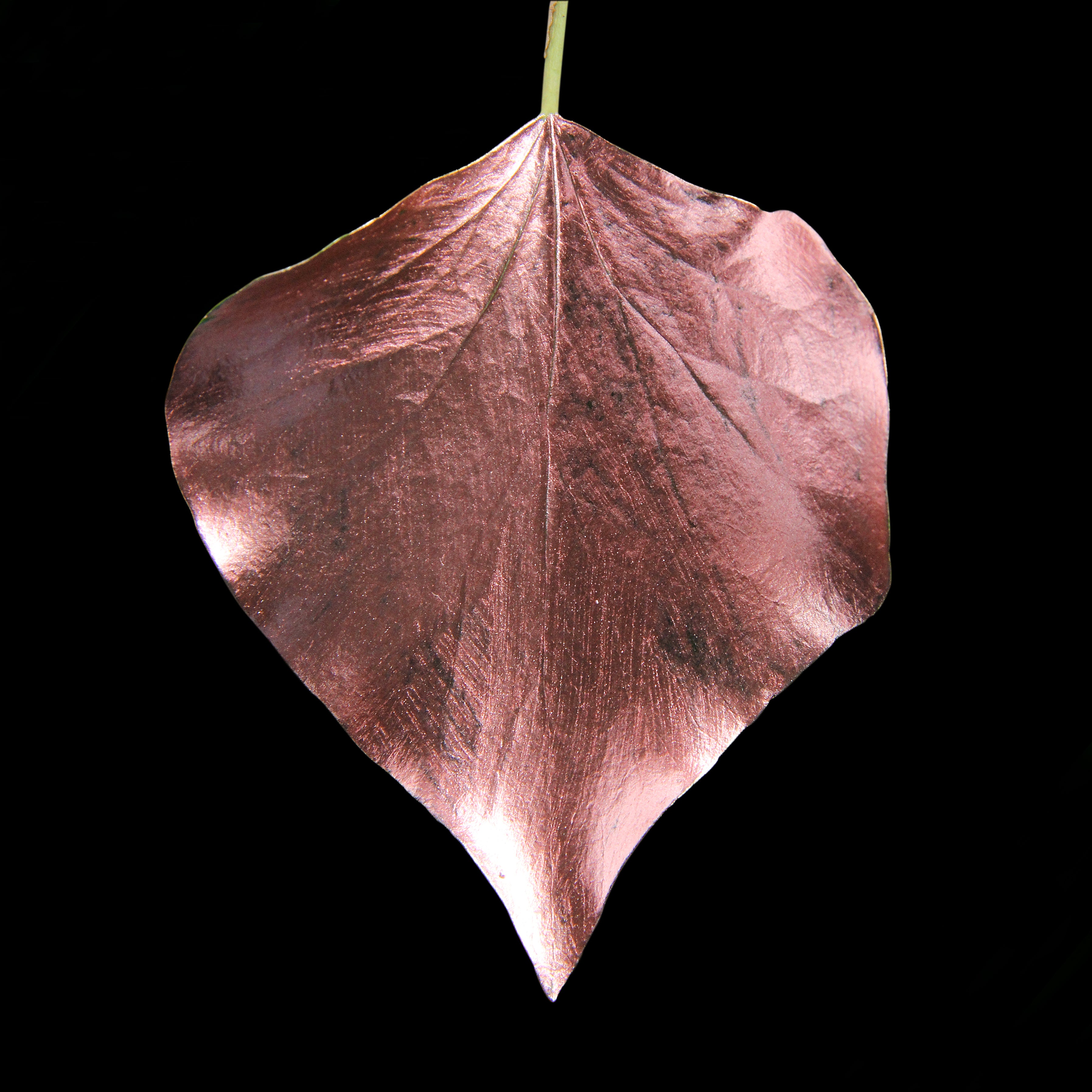 Leaf_RG_#1.jpg