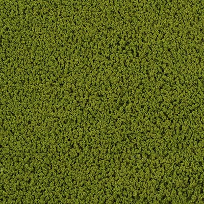 11345_Image.jpg