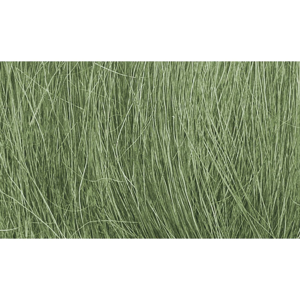 Field Grass Medium Green