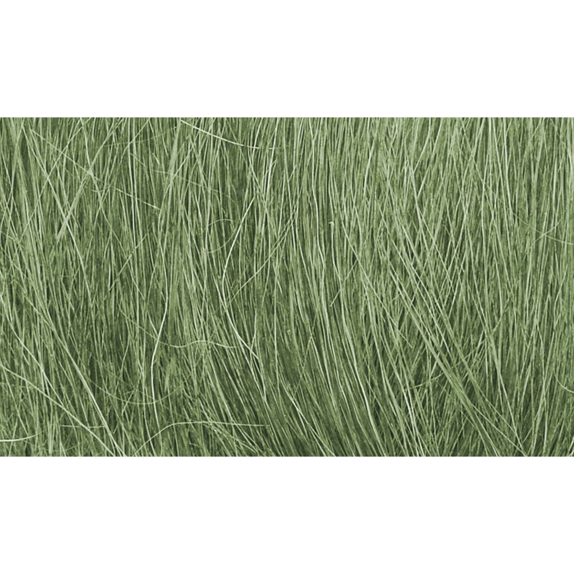 Field Grass Medium Green