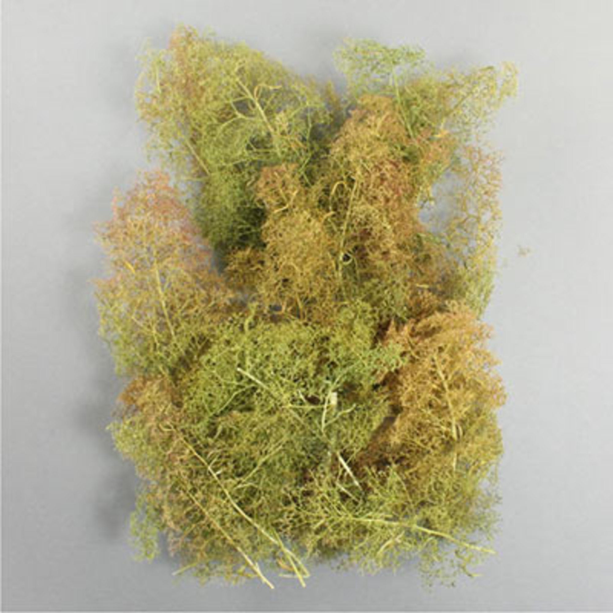 Seafoam trees - mixed box