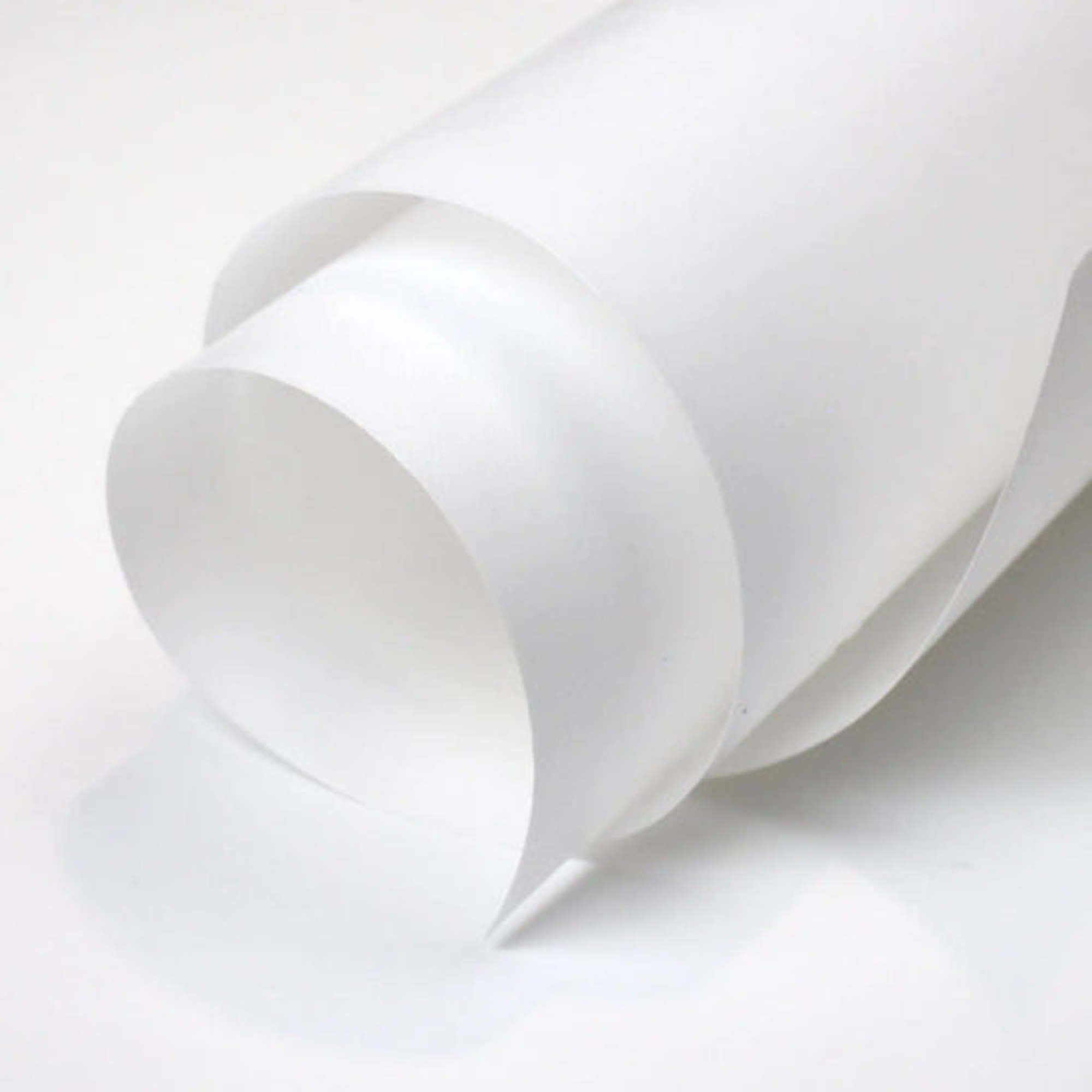 Worbla Kobracast Art 374  250mm