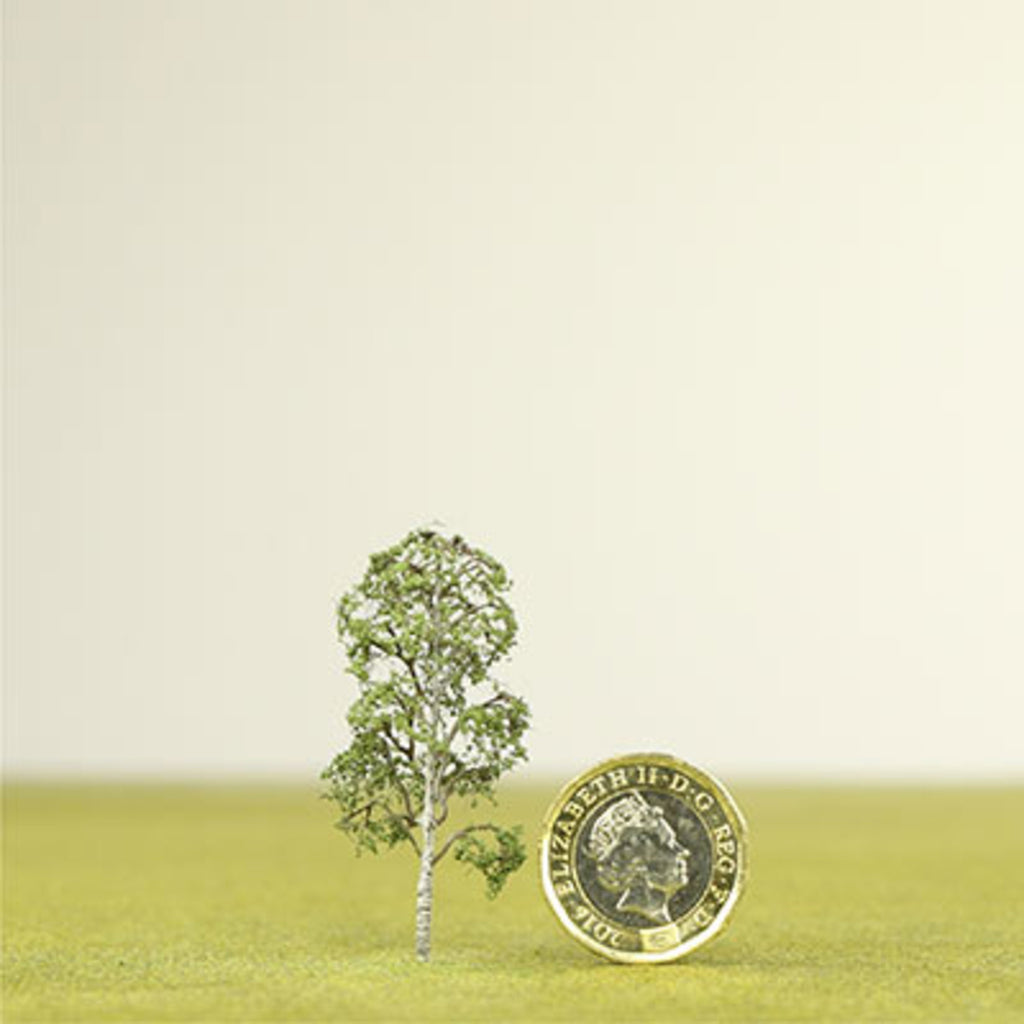 Silver Birch Model Tree - 0.50mm