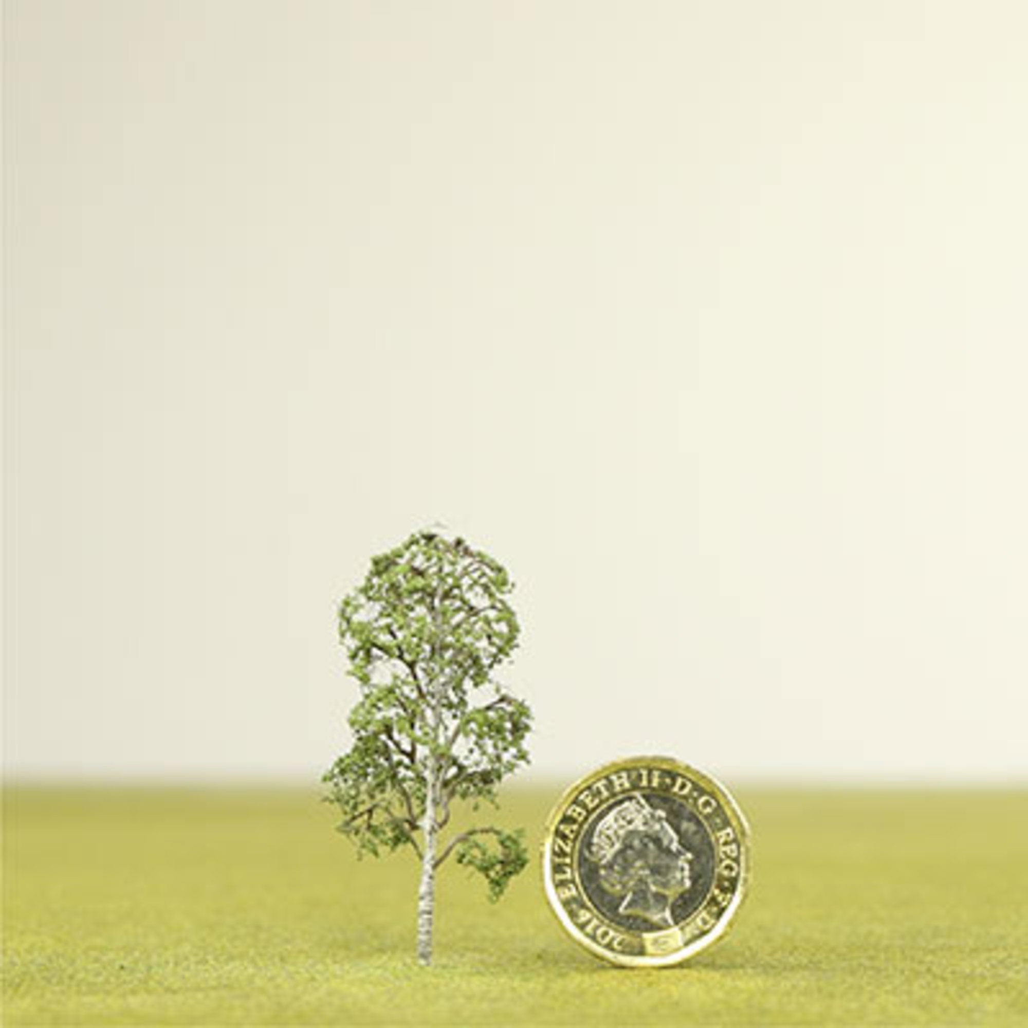 Silver Birch Model Tree - 0.50mm
