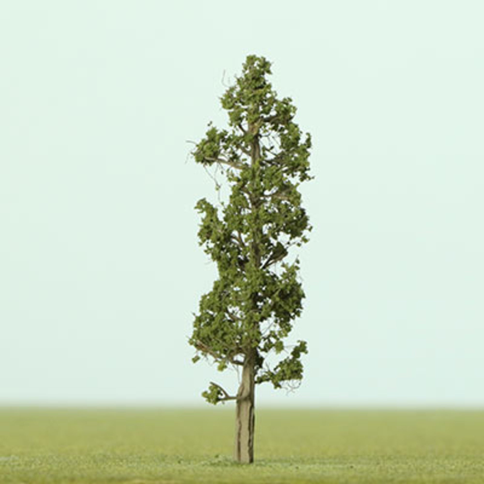 Medium Green Narrow Etched Tree - 50mm
