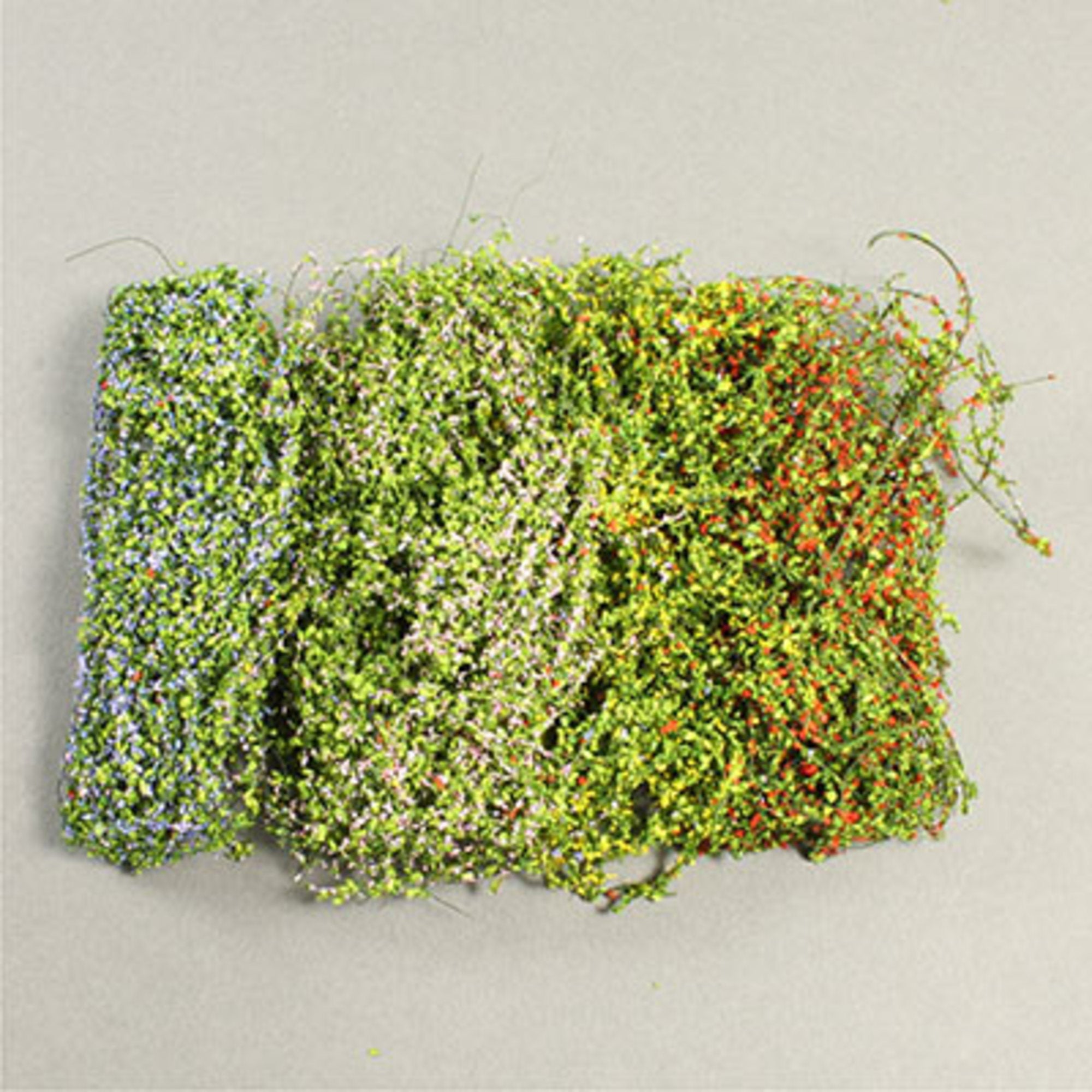 Climbing vines with flowers 10g