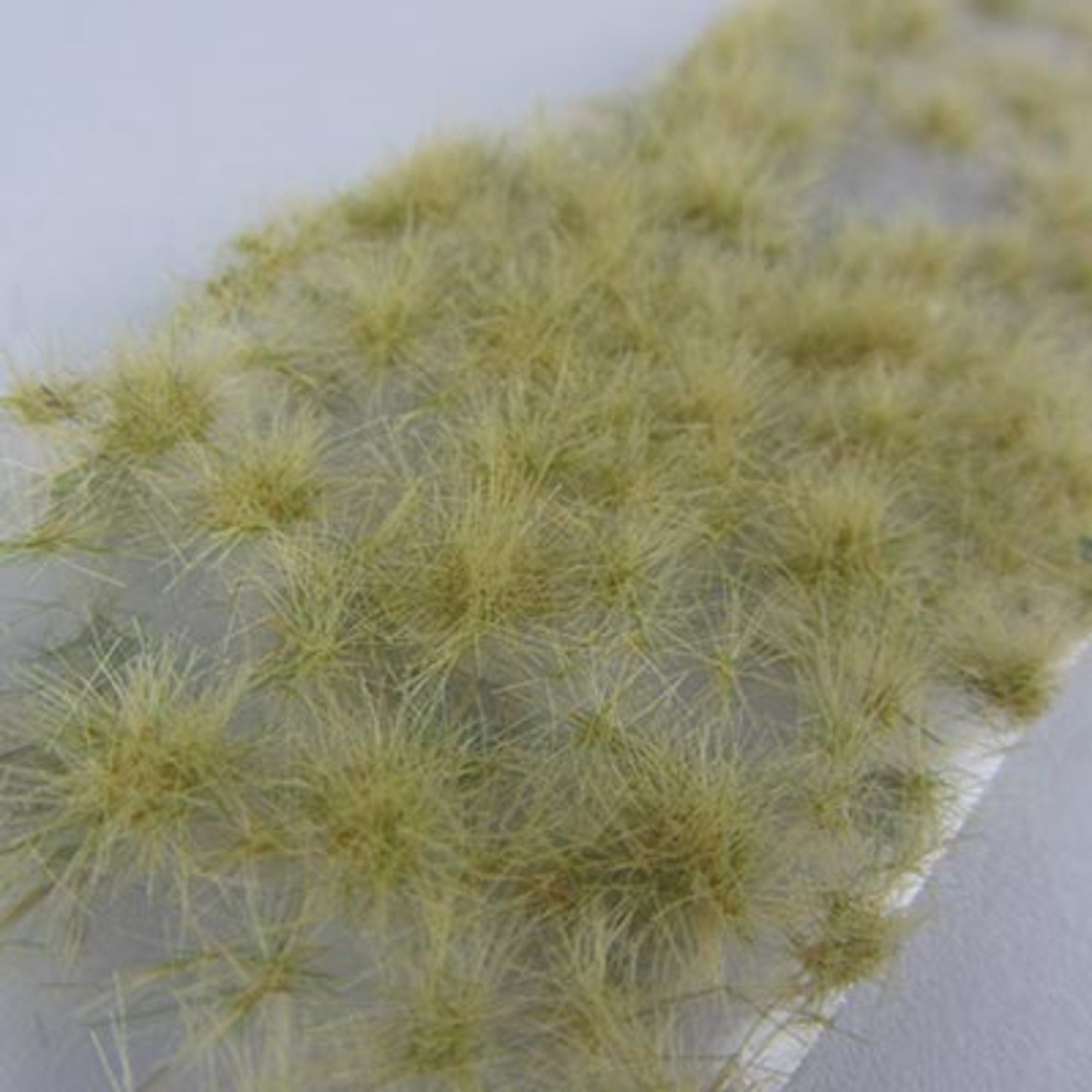 1:87 Calcareous Tufts Late Fall
