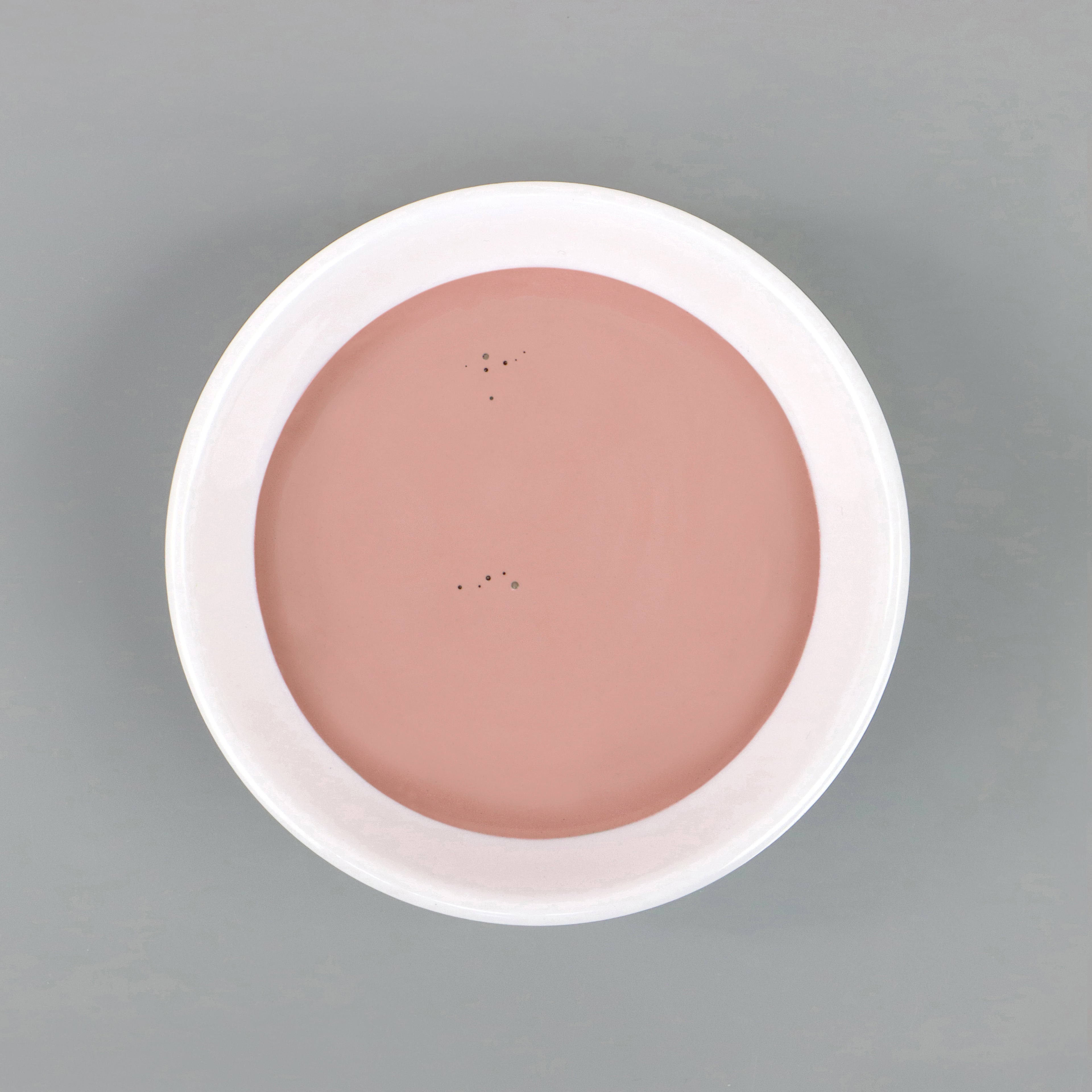 008-dusty-rose-bowl.jpg