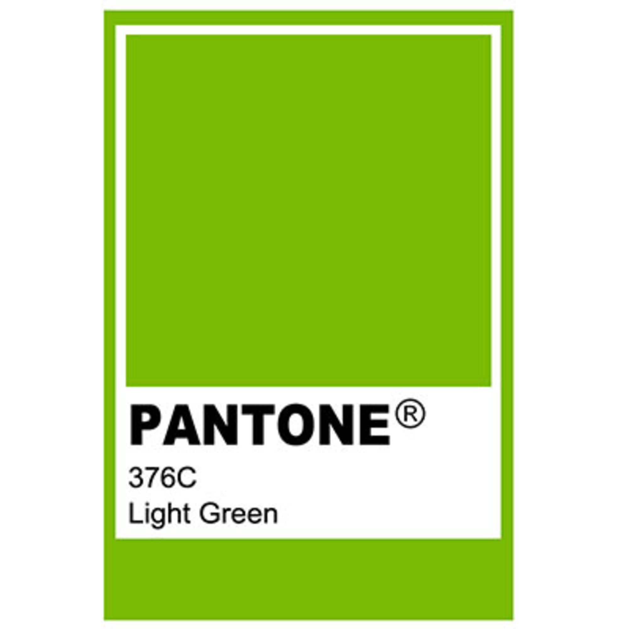Palm tree light green - 1:500