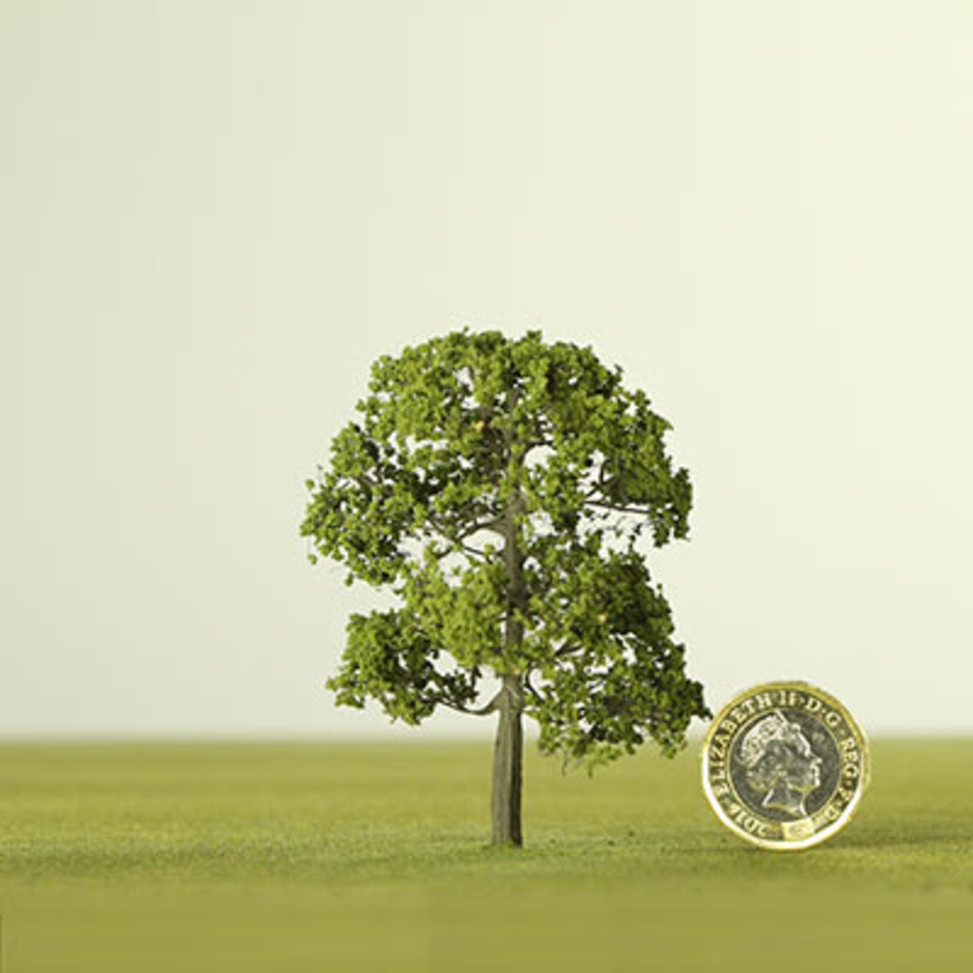 Medium Green Etched Tree - 6mm