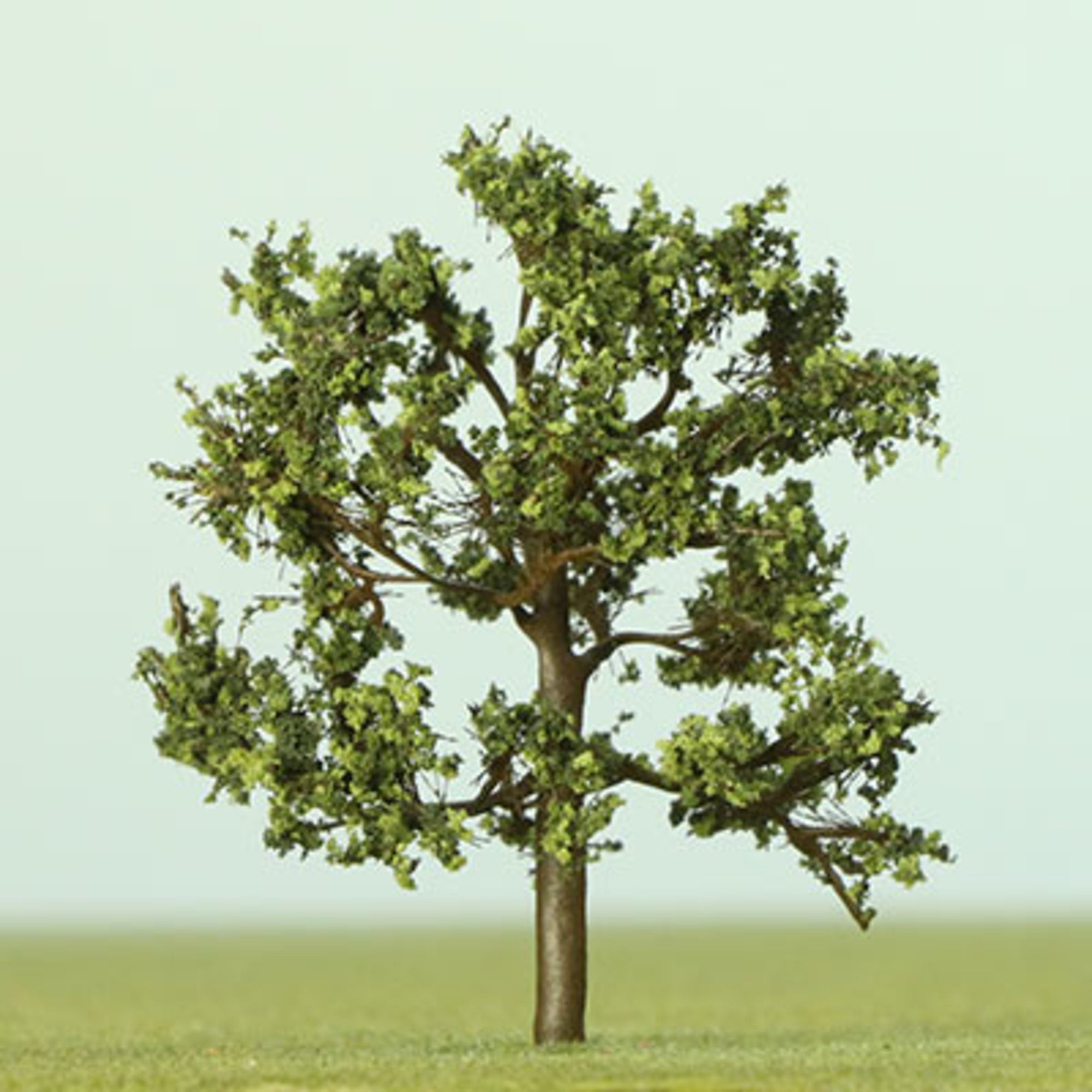 Dappled Green Etched Tree - 35mm