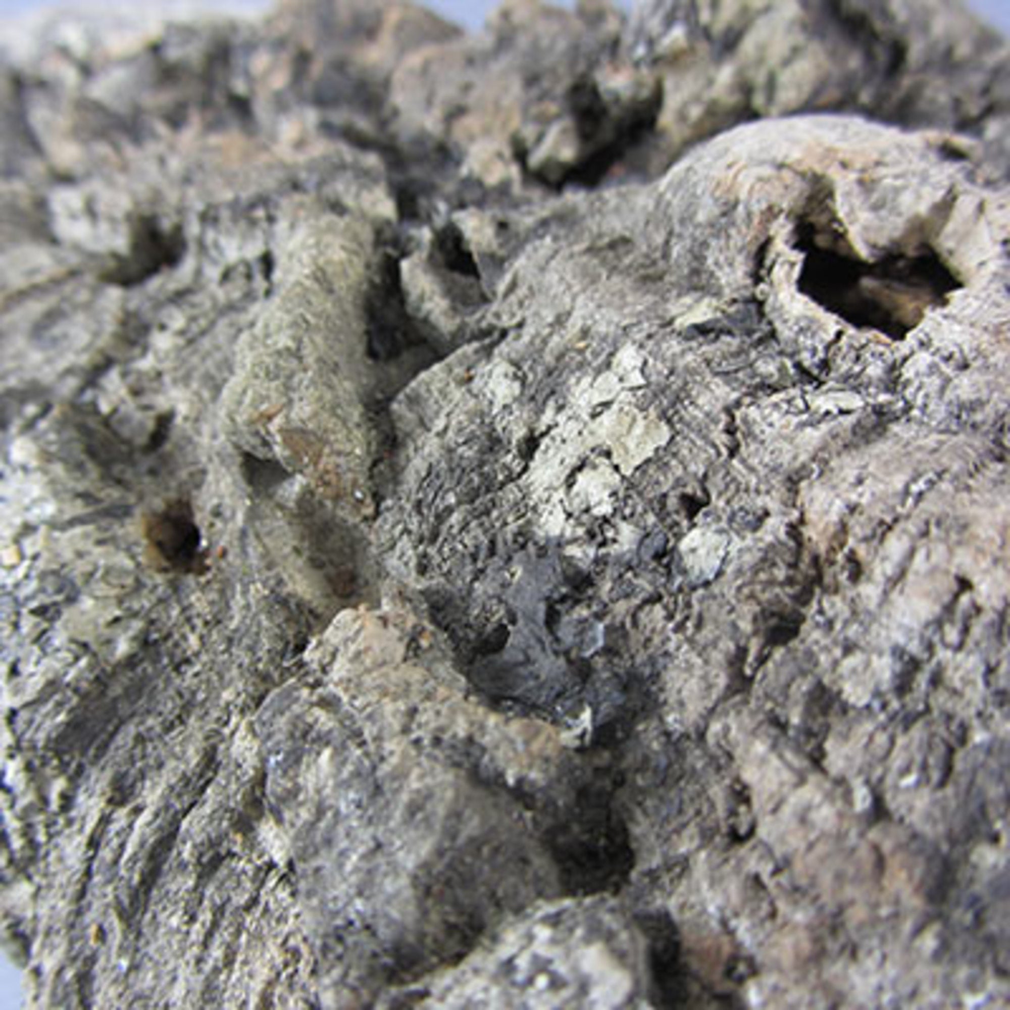 Cork Bark 1kg