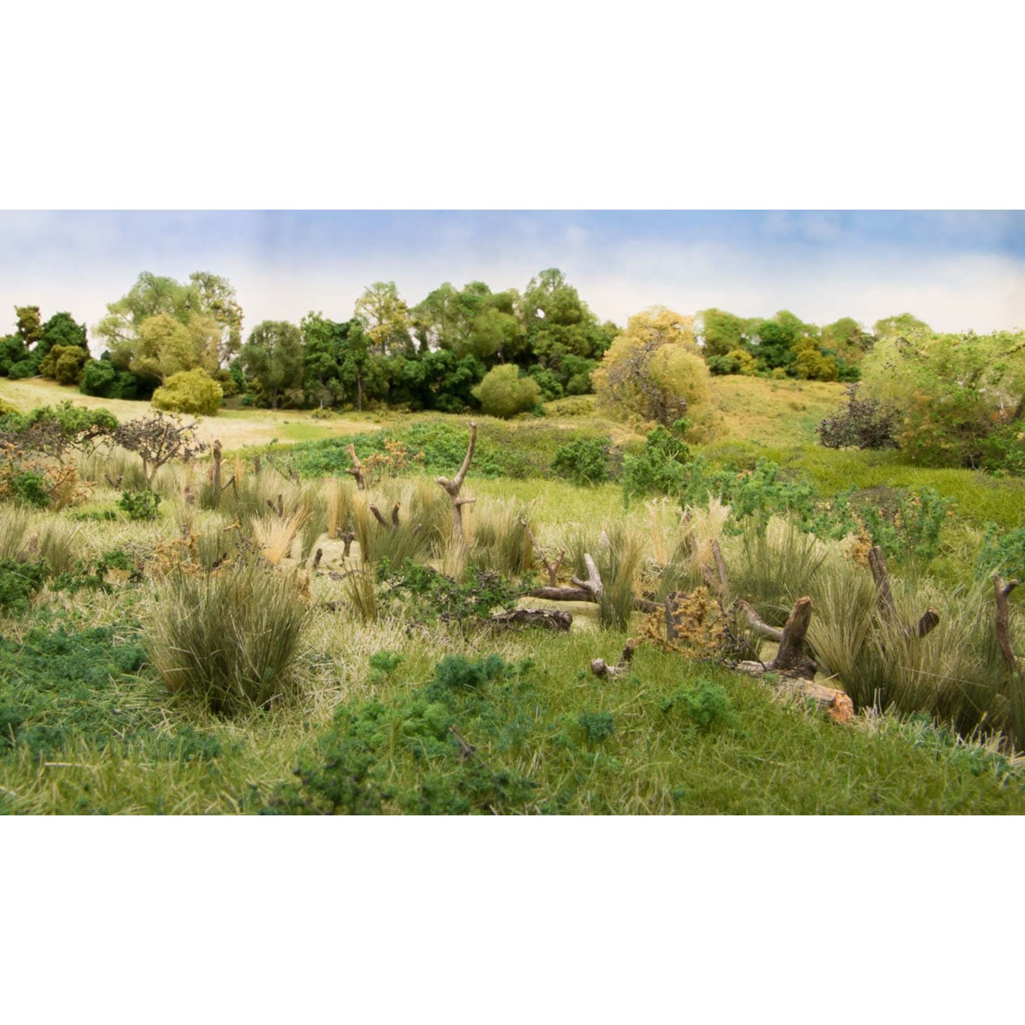 Field Grass Medium Green