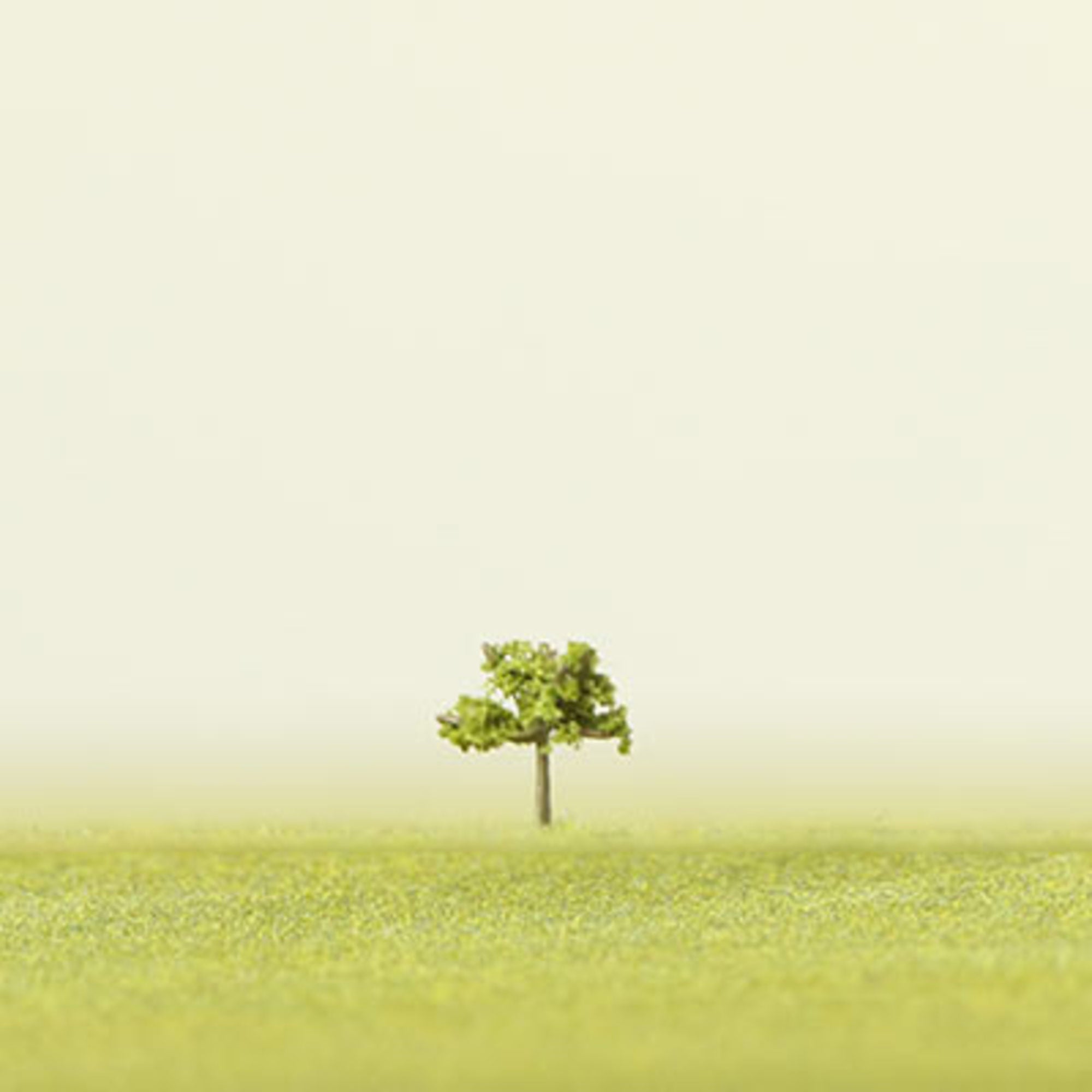 Medium Green Etched Tree - 6mm