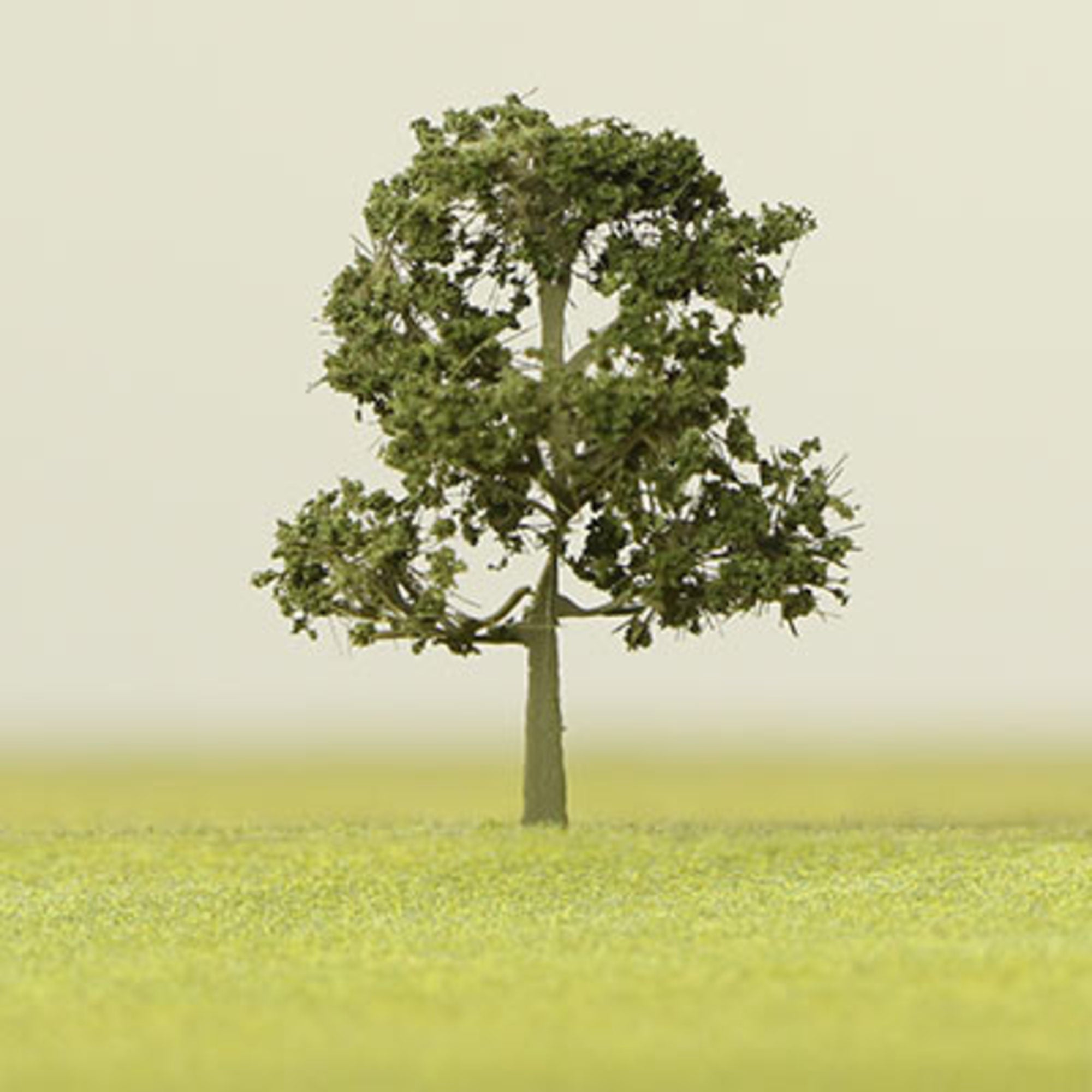 Dark Green Etched Tree - 6mm