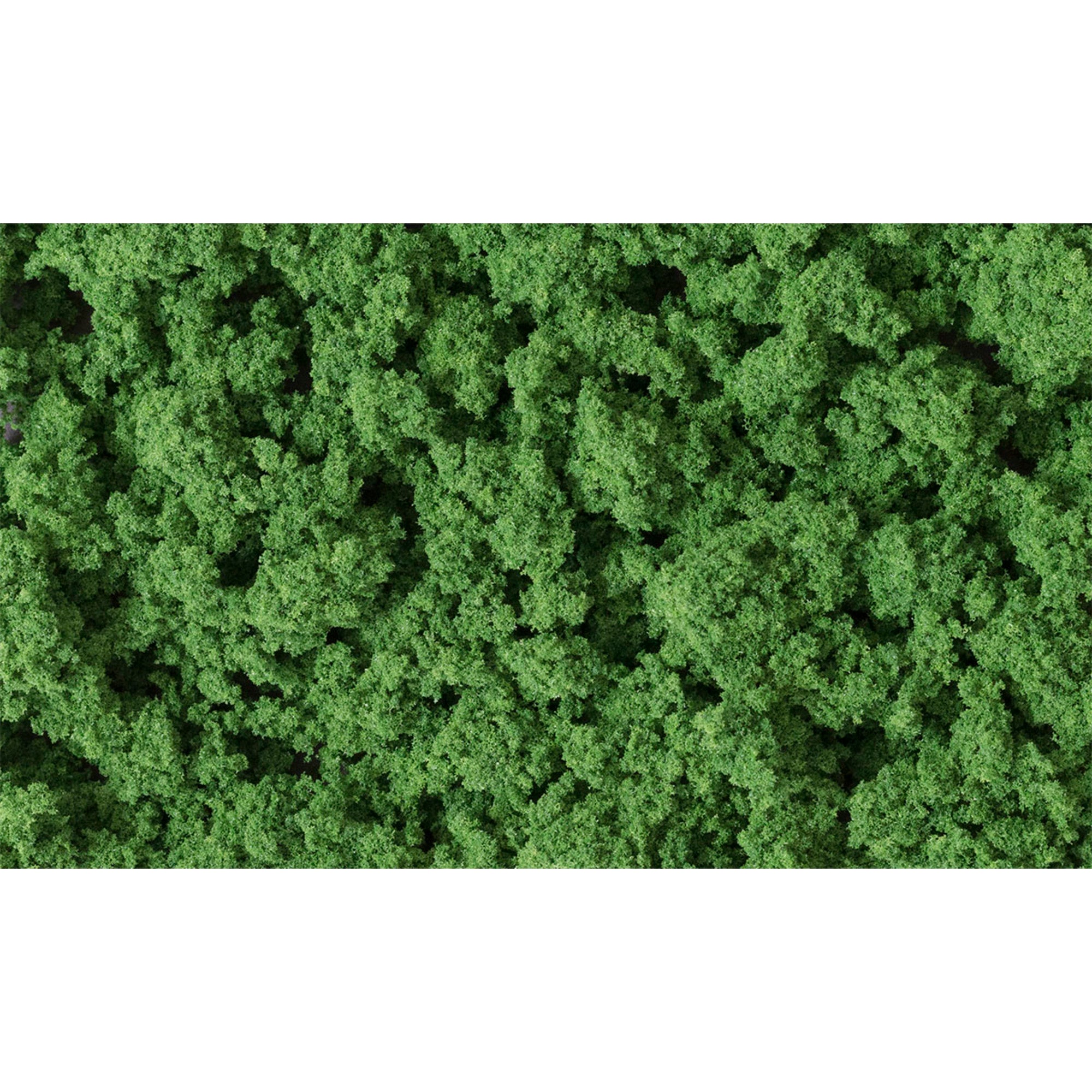 Clump Foliage Medium Green