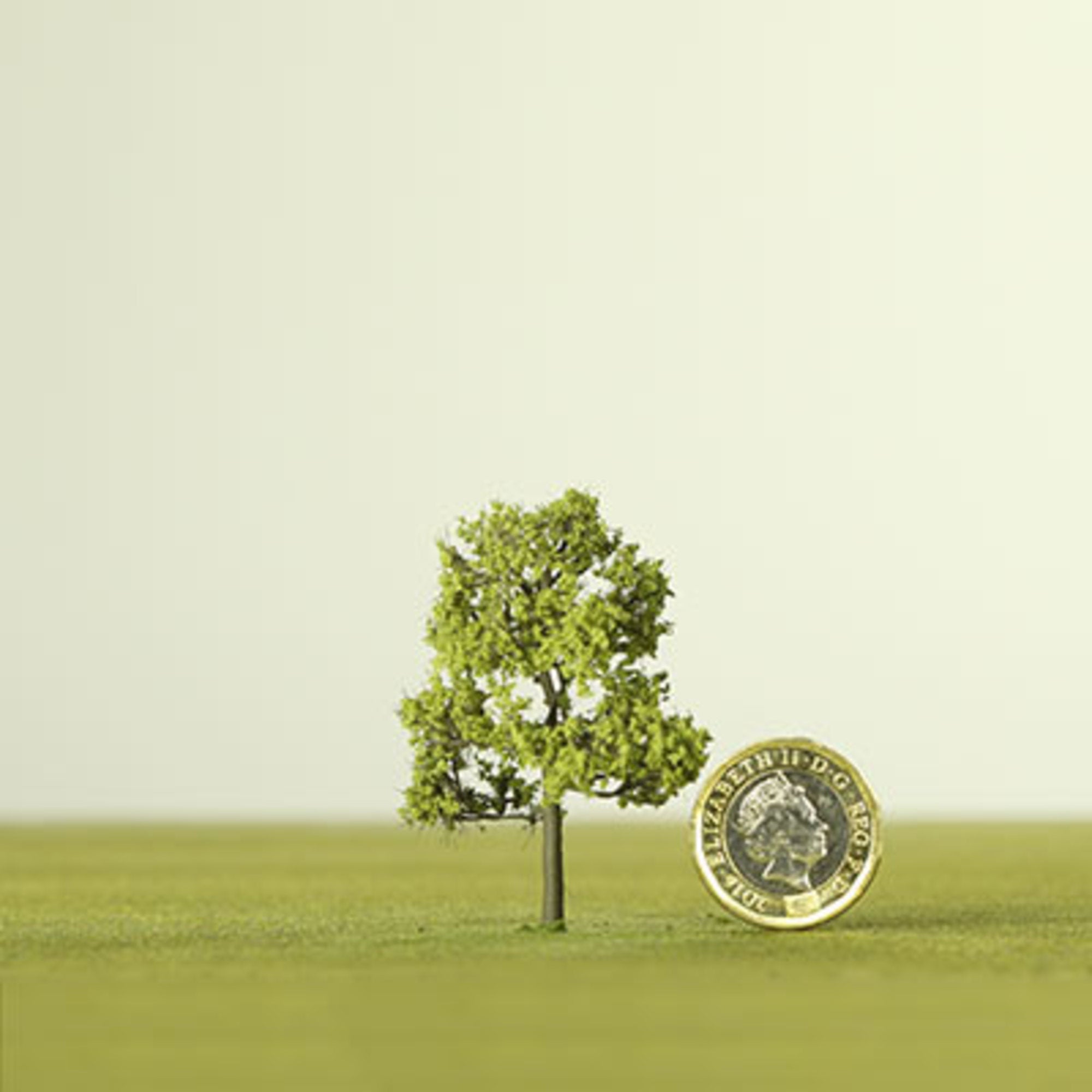 Light Green Etched Tree - 6mm