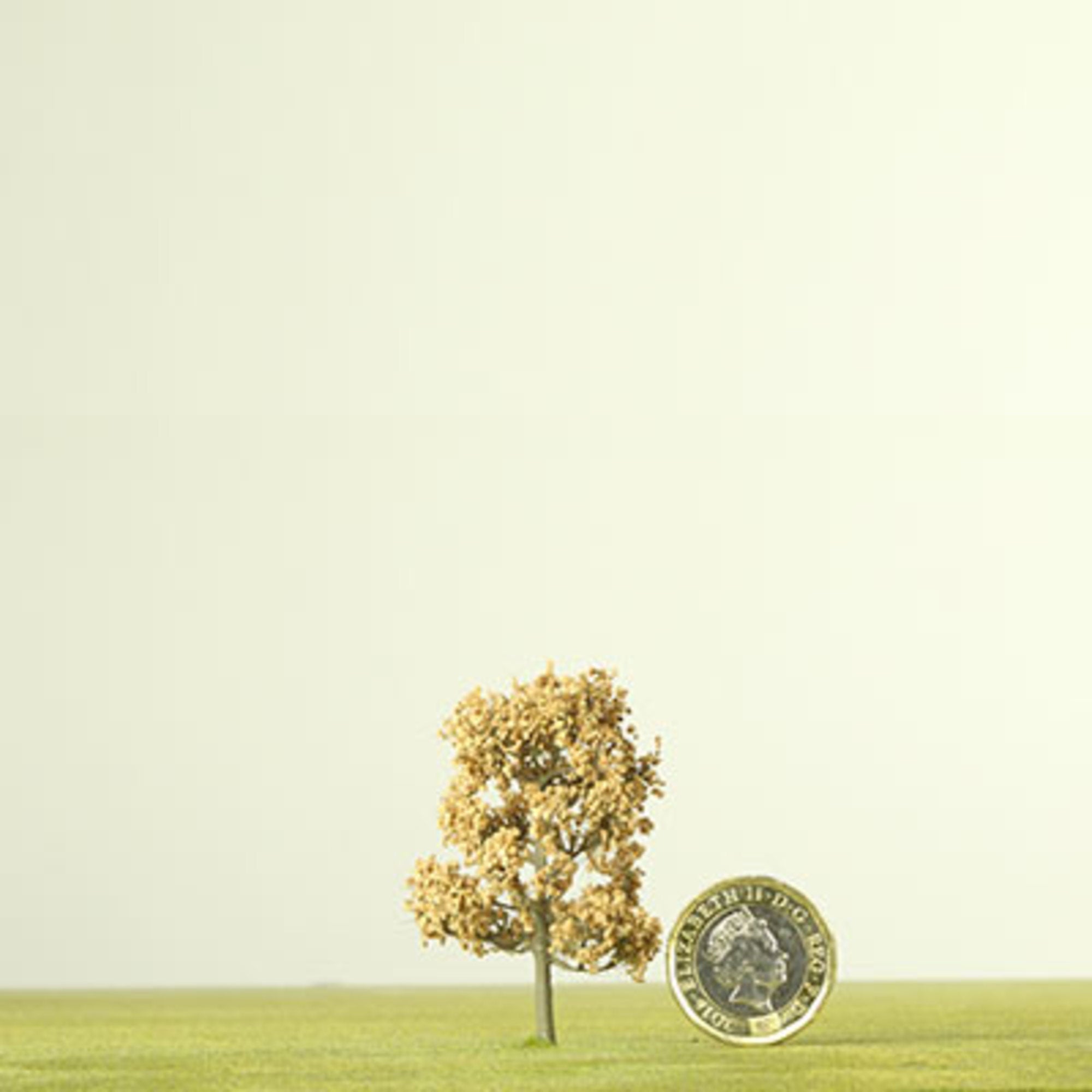 Cork Model Tree - 0.06mm