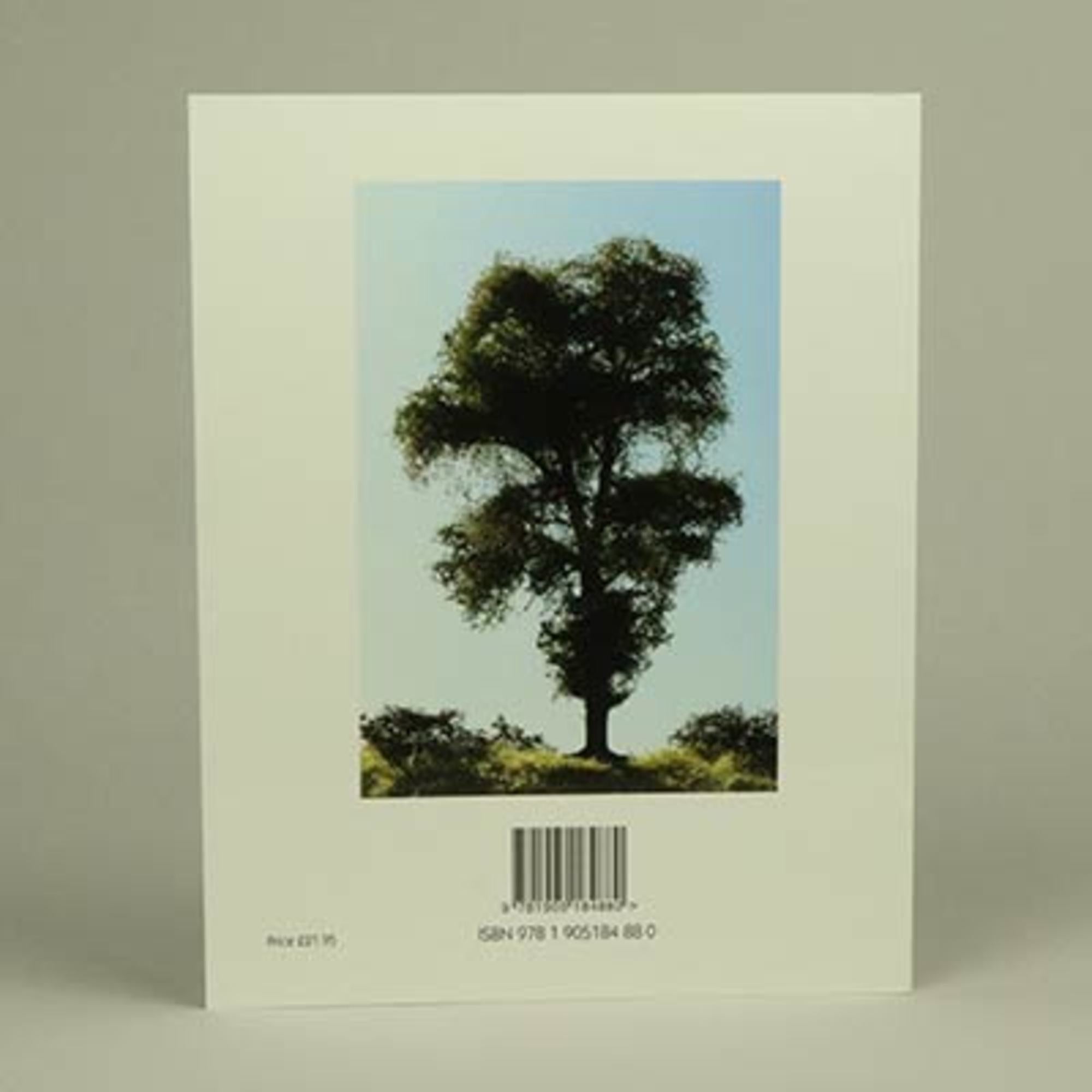 Modelling Trees Part One - Broadleaf Trees