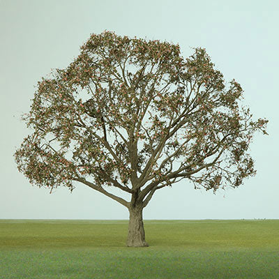 17958_Image.jpg