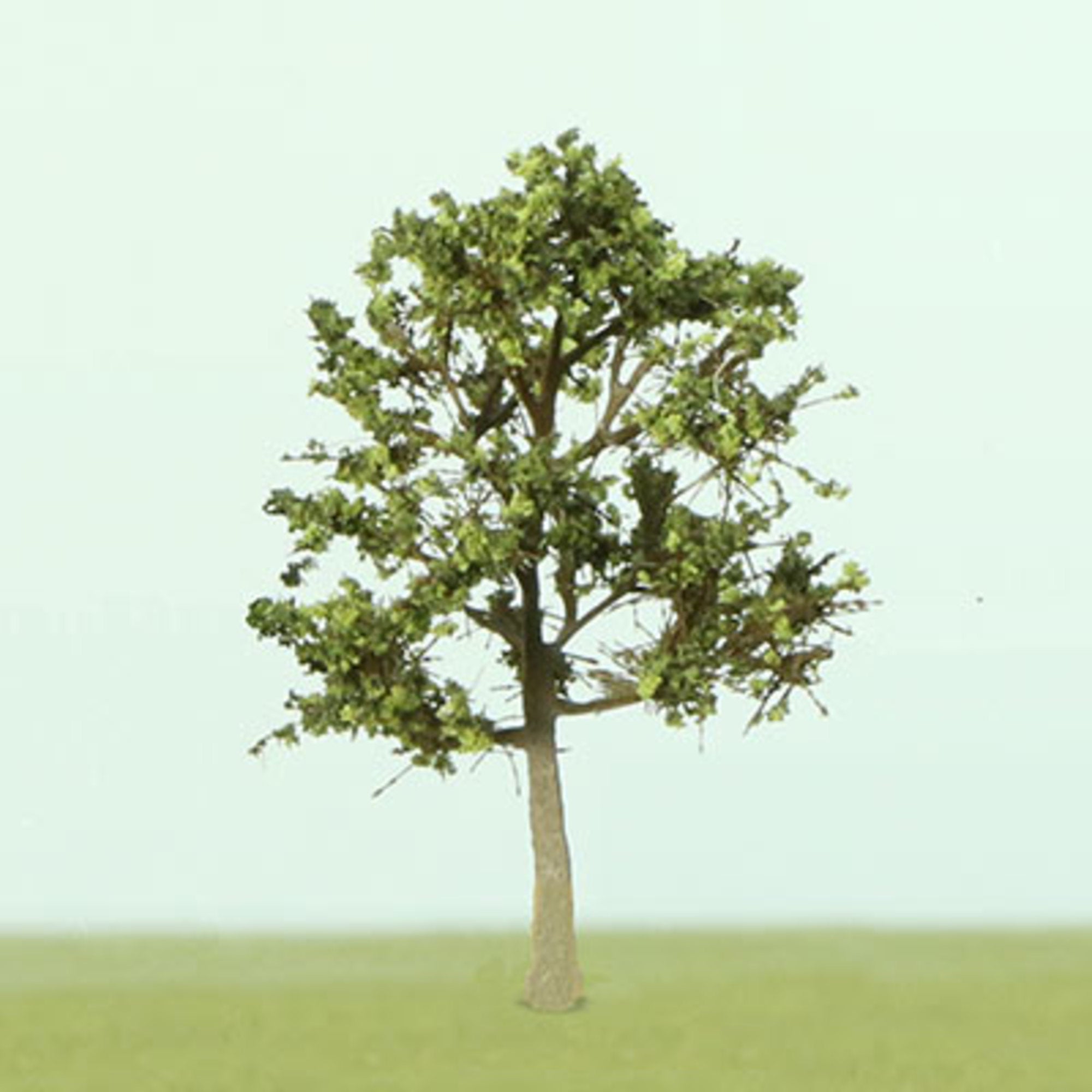 Dappled Green Etched Tree - 35mm